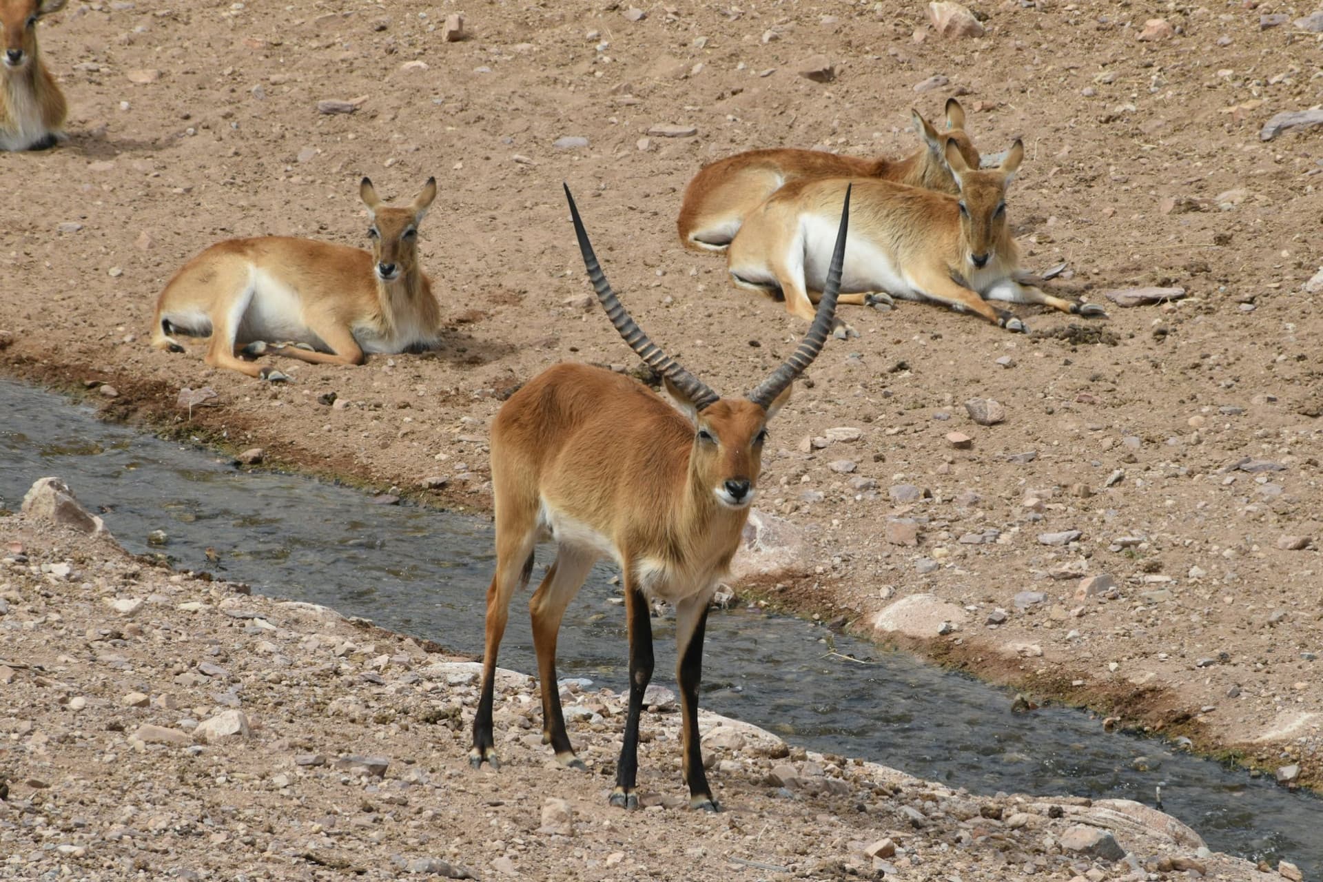 Terra Natura Murcia Ticket - image 8