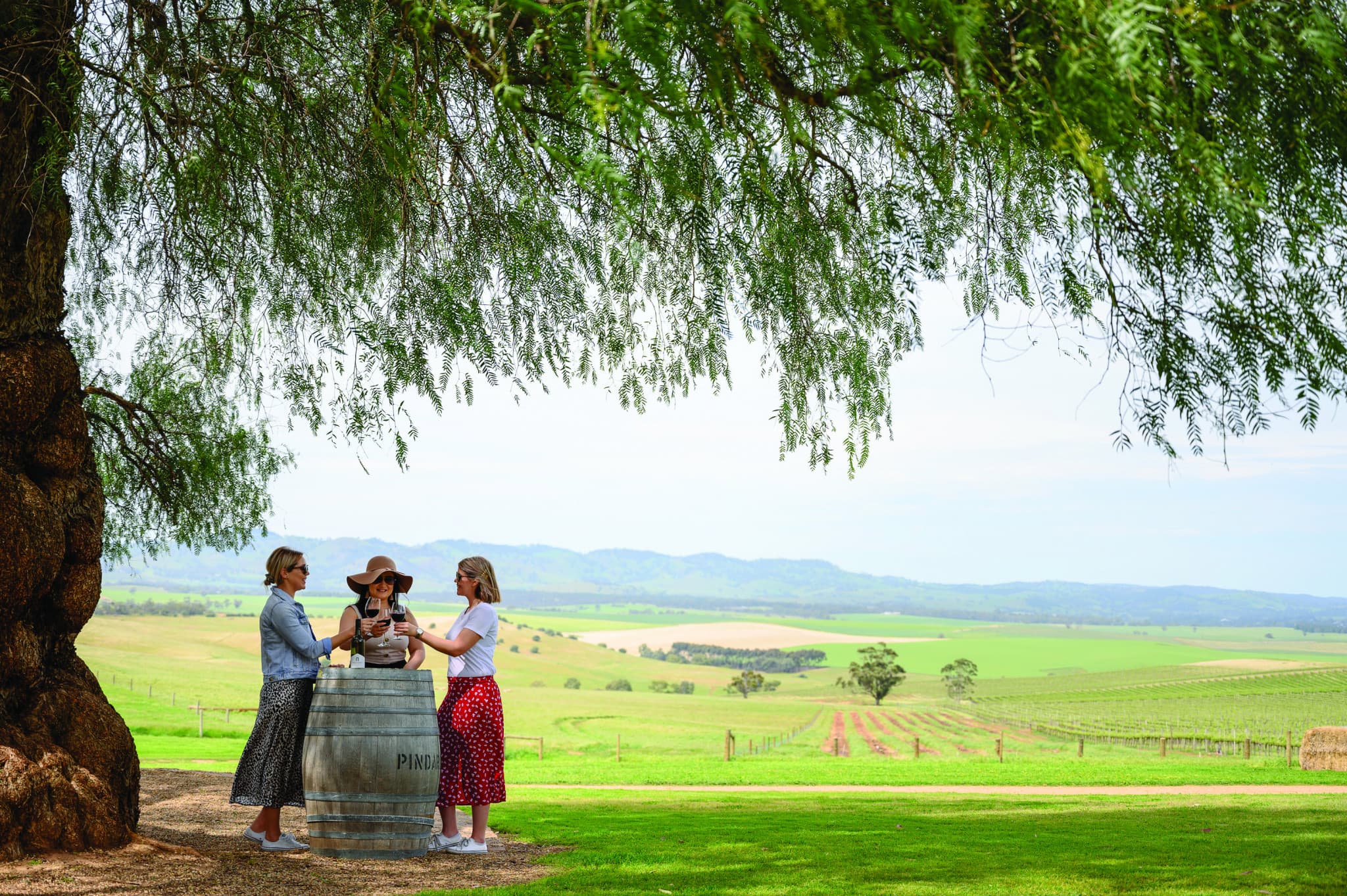 Barossa Valley Wineries and Hahndorf Tour - main image