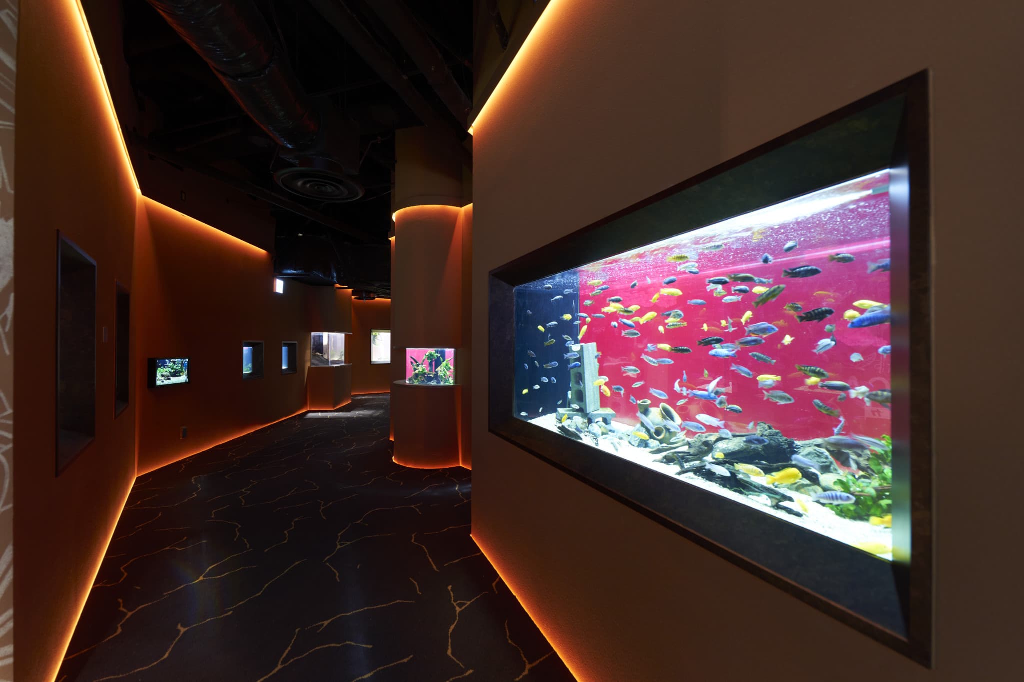 Kawasaki Aquarium Ticket - image 3
