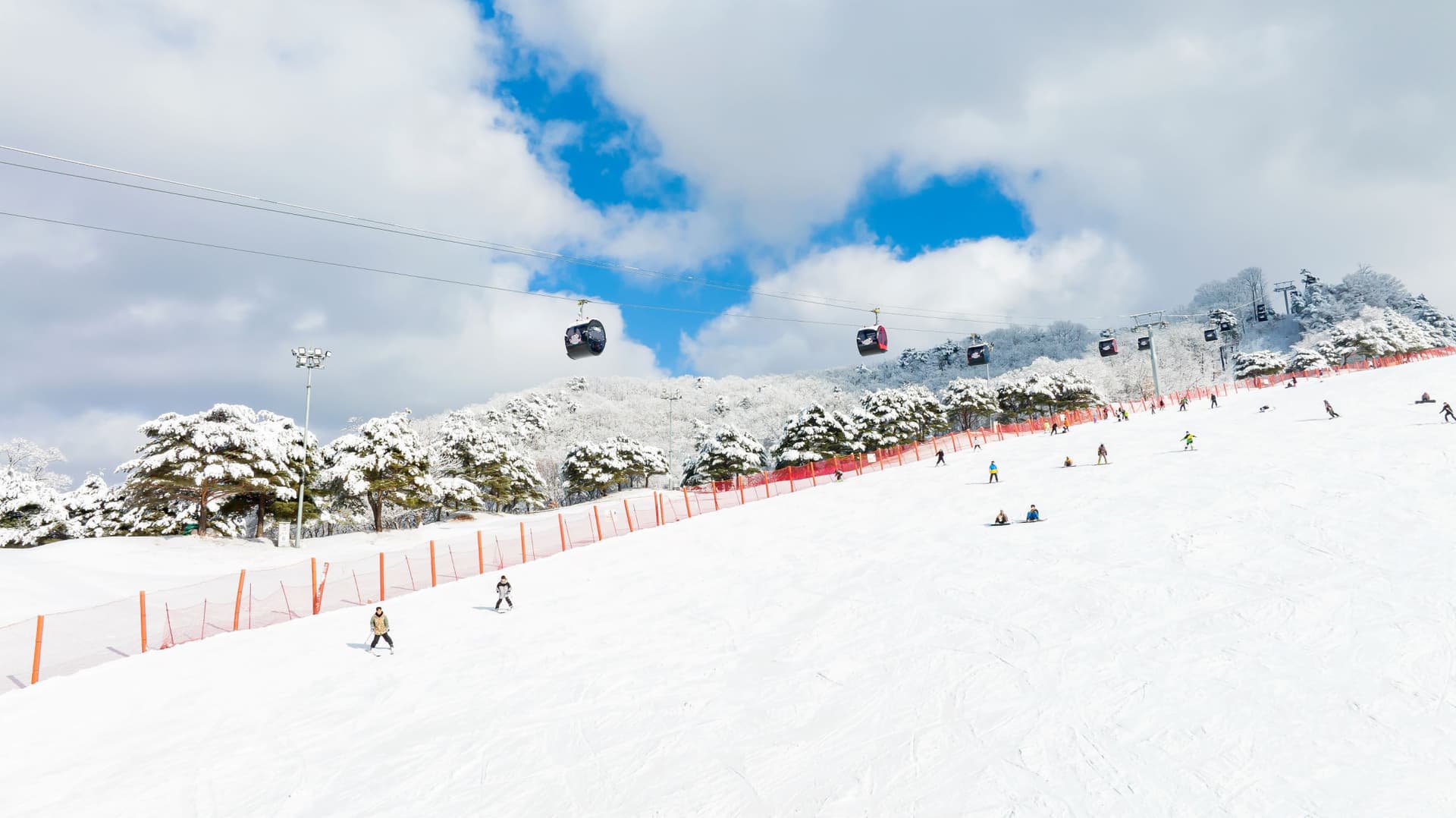 Tour de un día desde Seúl: esquí de invierno en Vivaldi Park y valle helado de Eobi - imagen 3