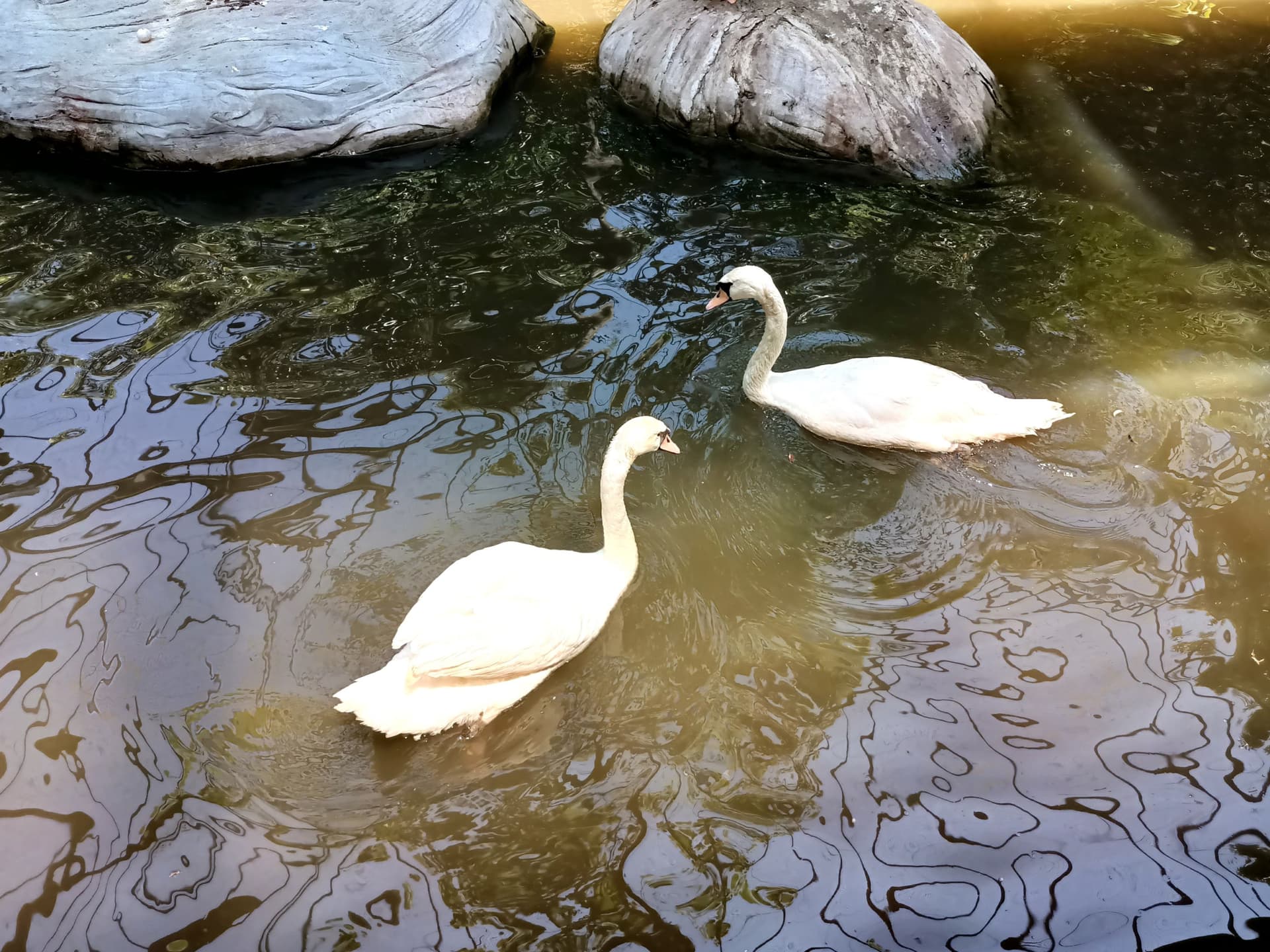 Langkawi Wildlife Park - imagen 13