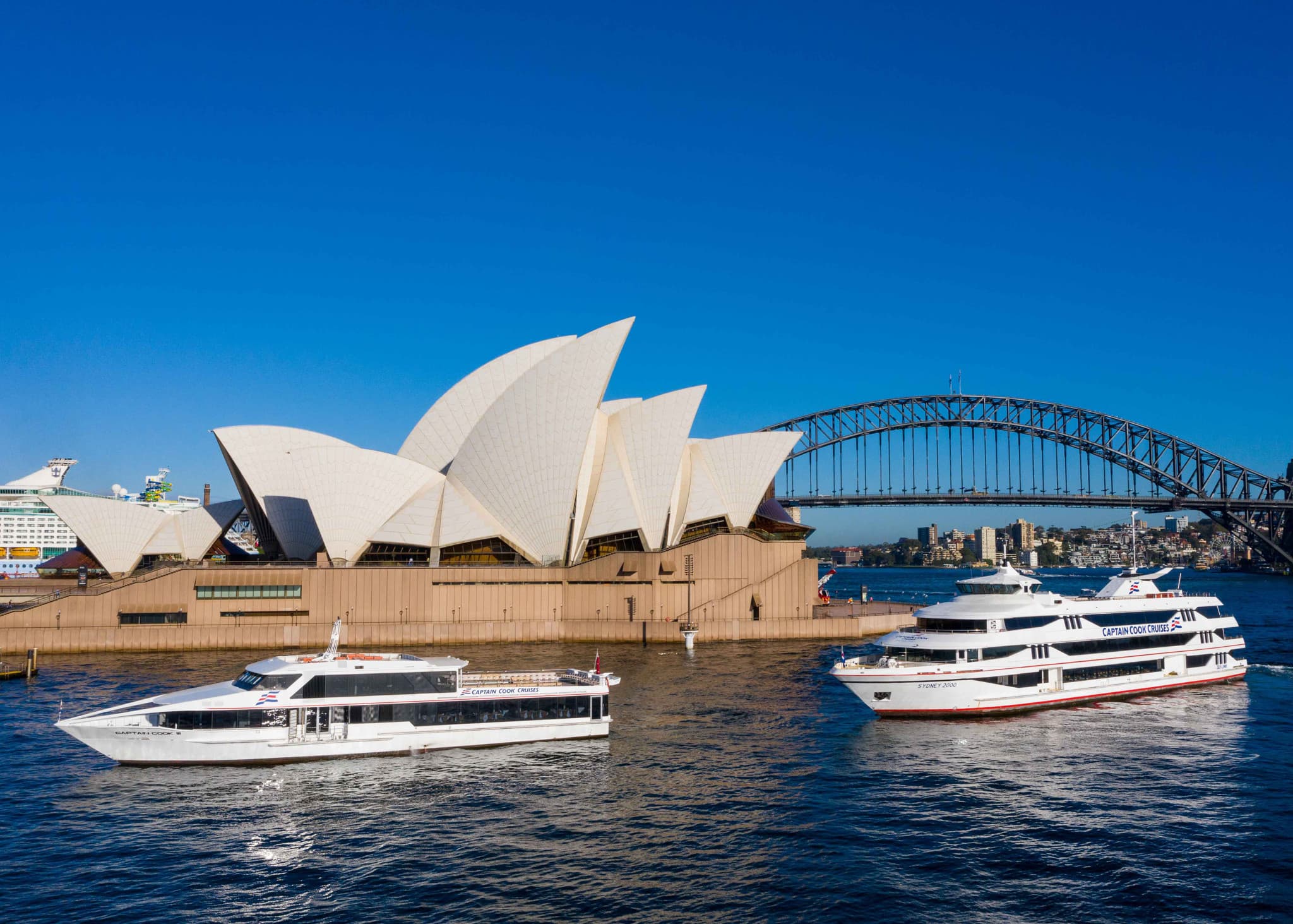 Sydney Harbour Whale Watching Cruise aboard Captain Cook Cruises - image 7