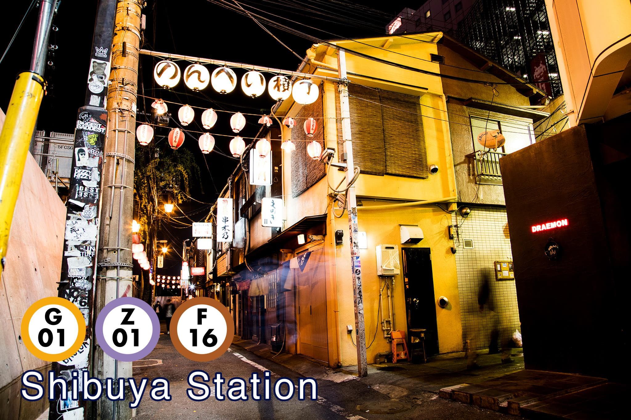 Tokyo Subway Ticket: Tokyo Metro and Toei Subway - image 5