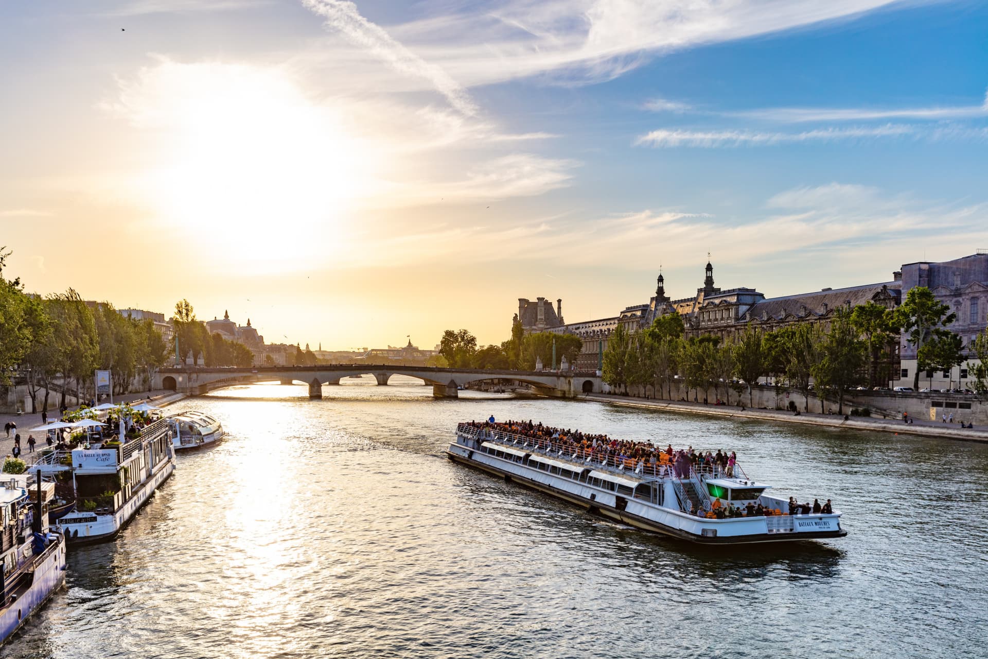 Seine River Sightseeing Cruise by Bateaux Mouches - image 2
