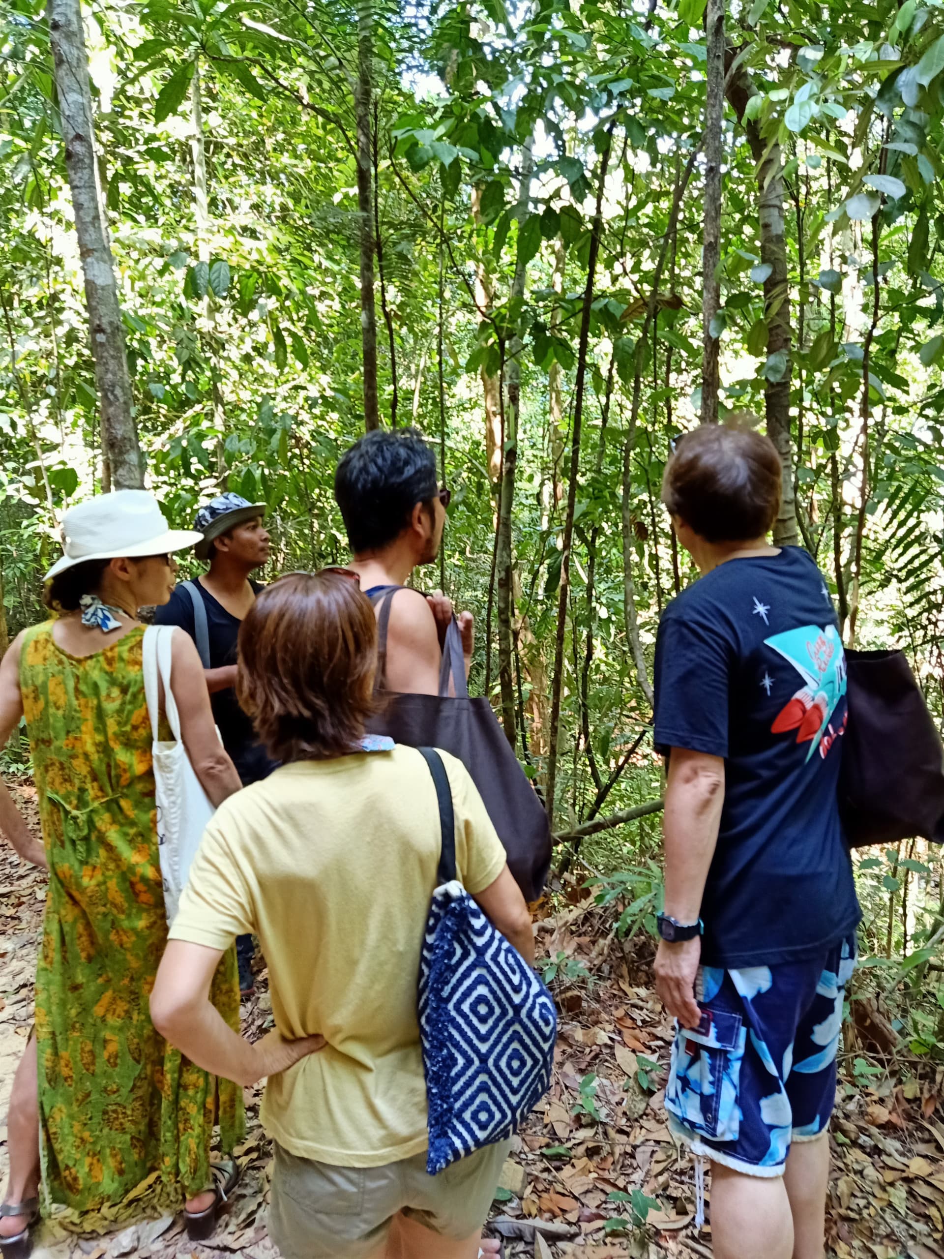 Langkawi Morning Rainforest Walking Tour - image 6