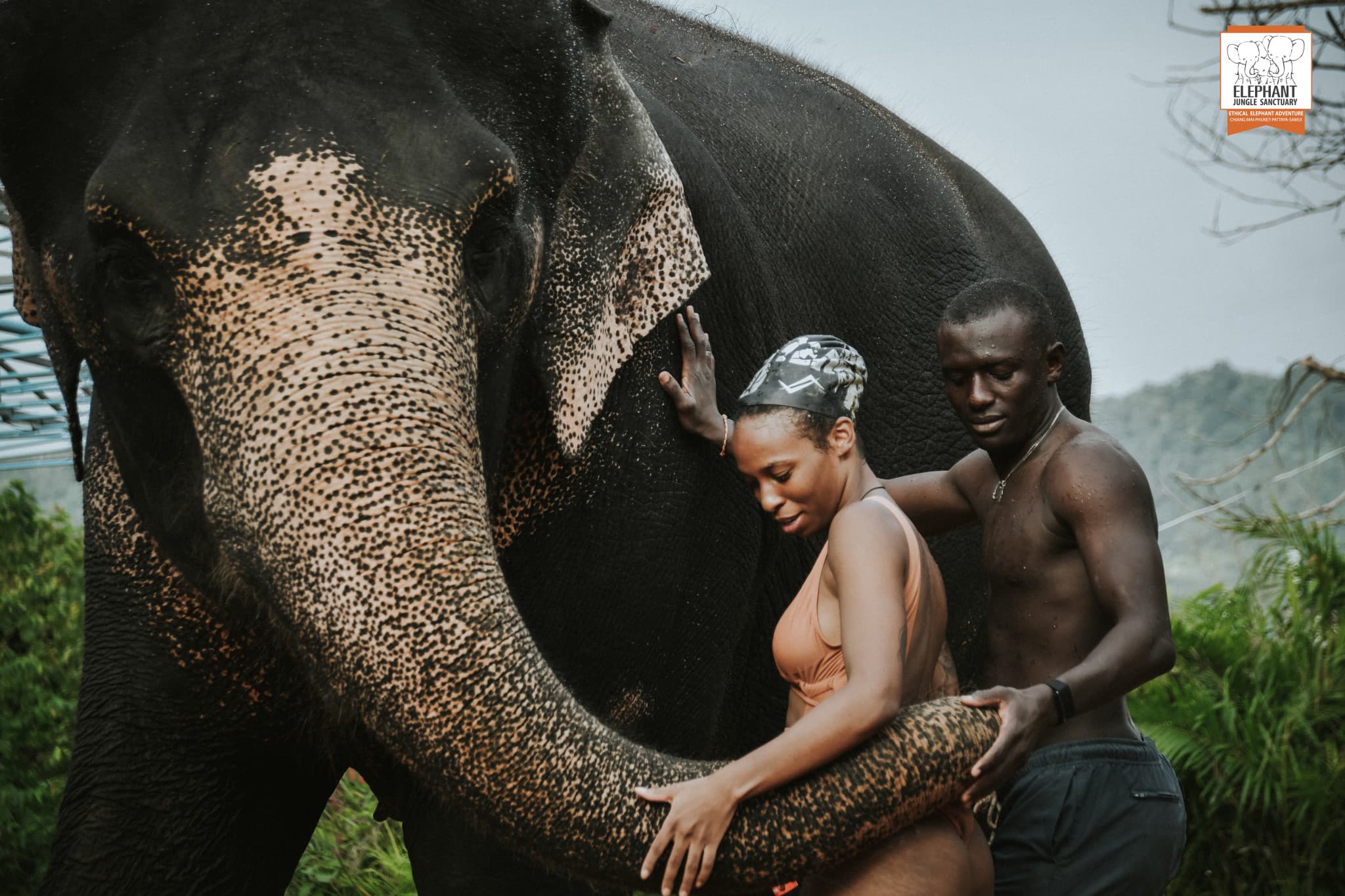 Elephant Jungle Sanctuary Phuket - image 16