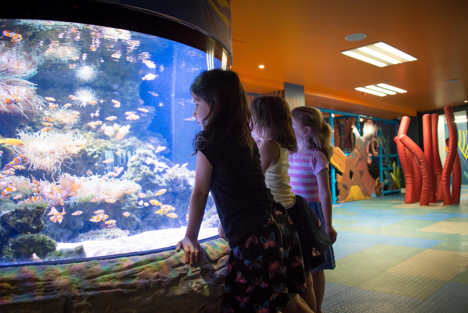 Entrada al acuario SEA LIFE Kelly Tarlton's - imagen 2