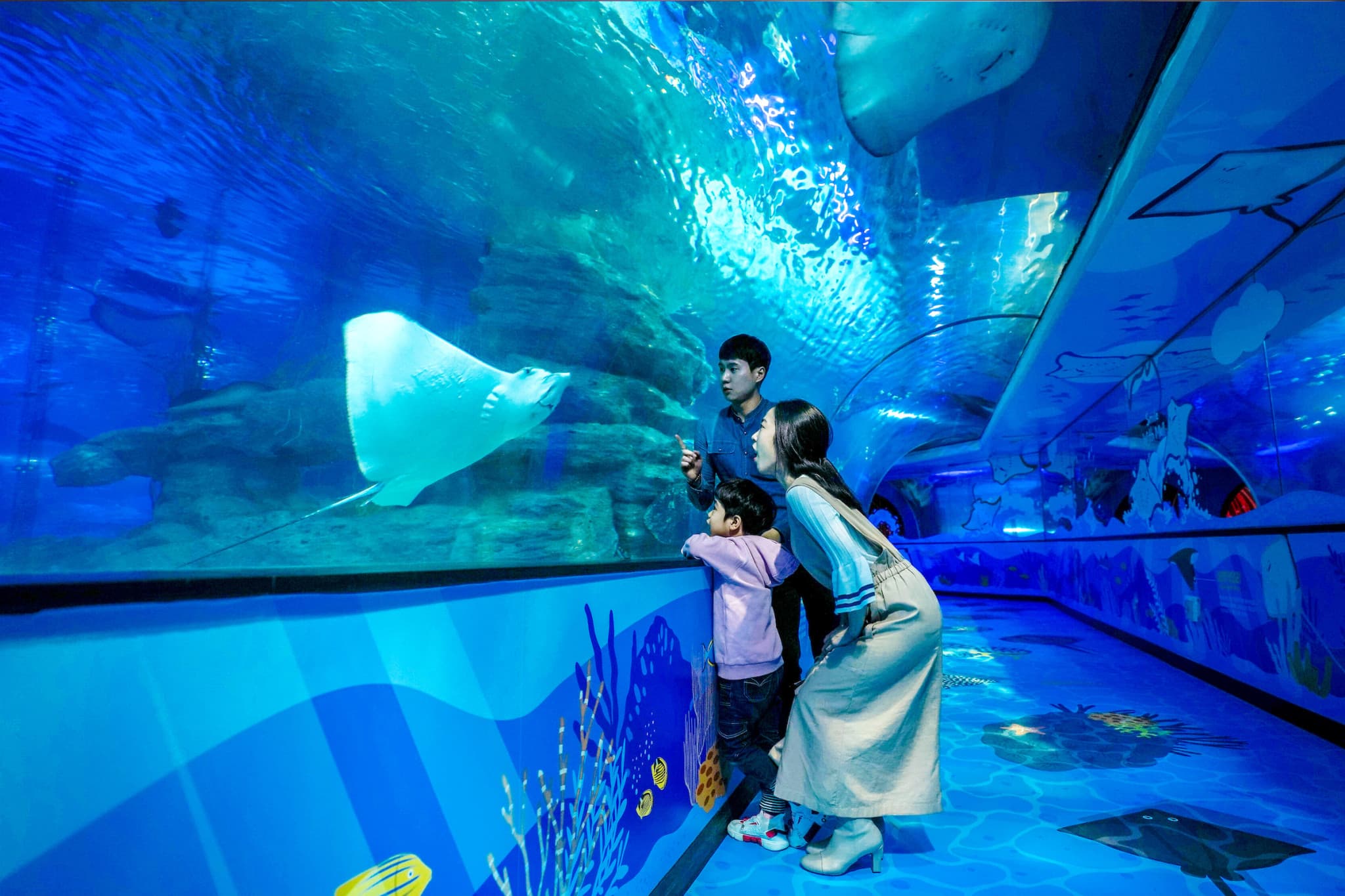 SEA LIFE Busan Aquarium Ticket - main image