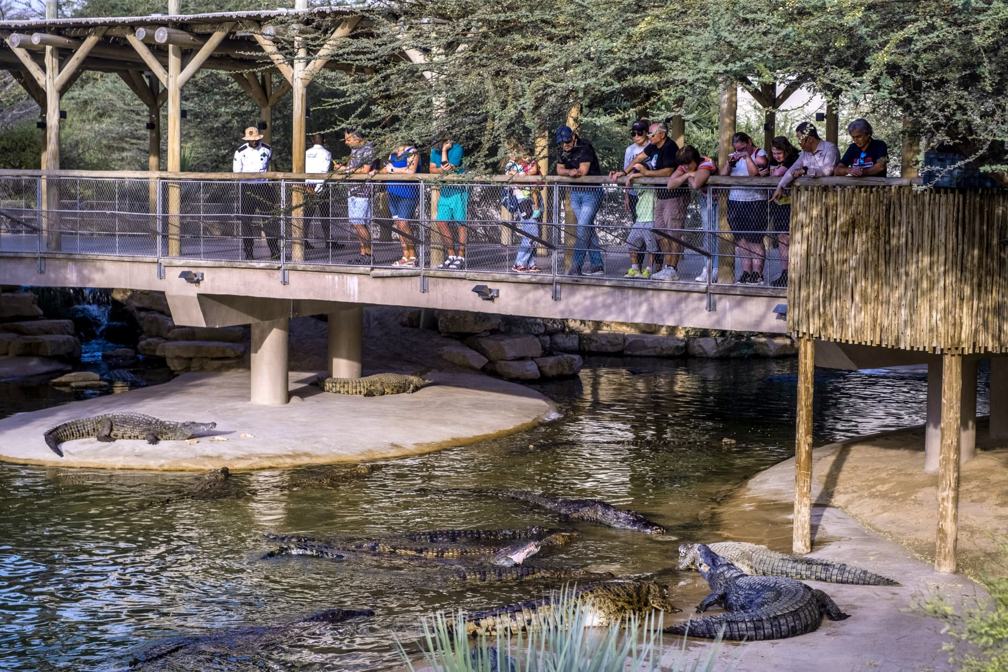 Dubai Crocodile Park - image 5