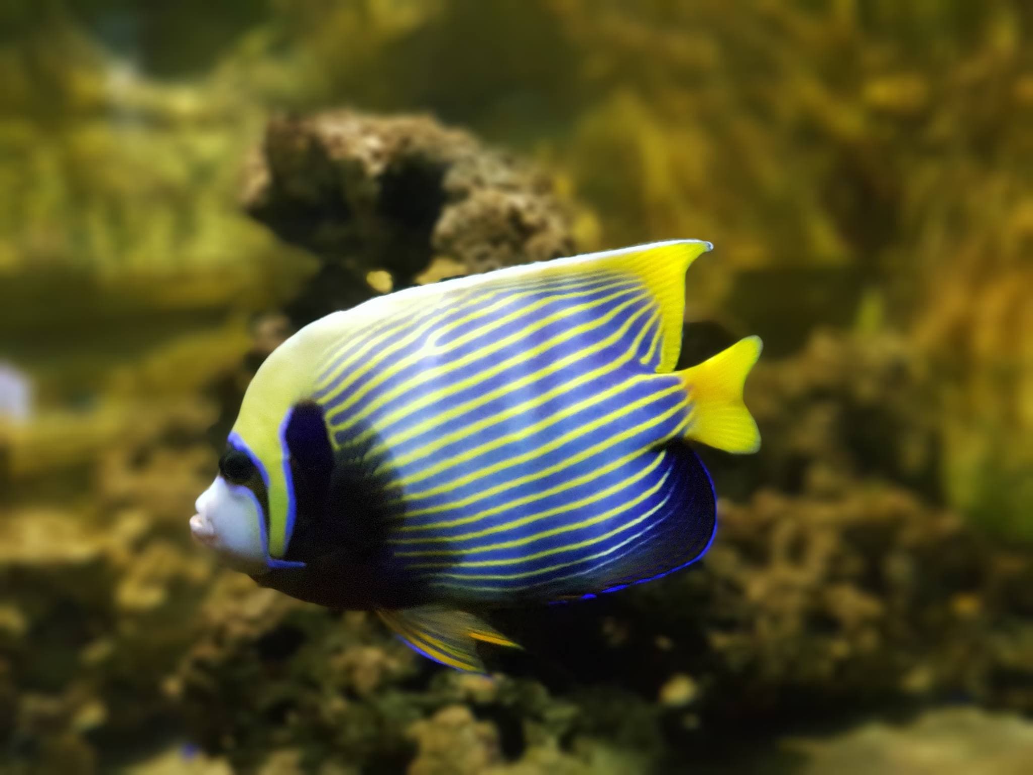 Yehliu Ocean World - image 7