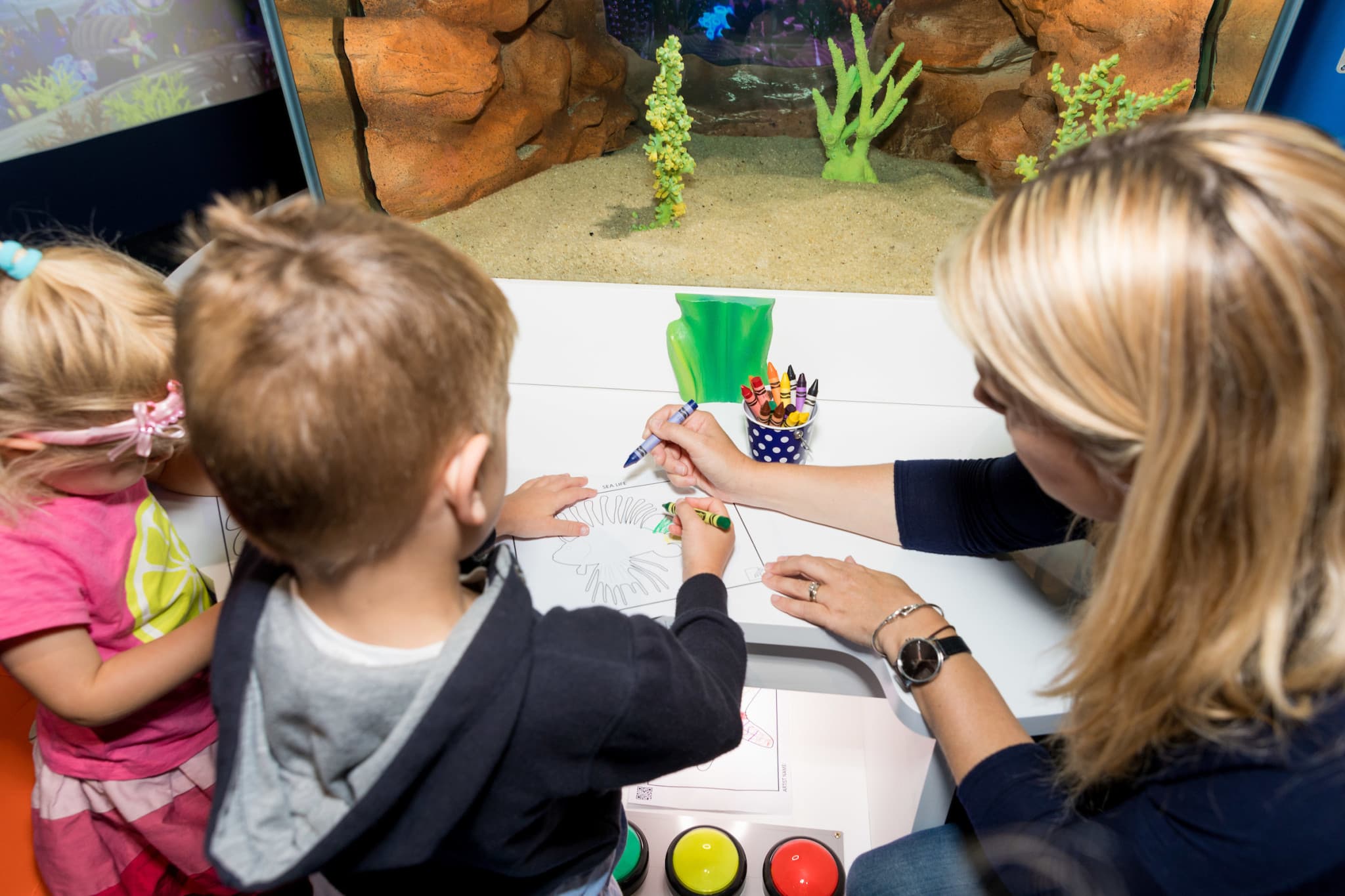 SEA LIFE Kelly Tarlton's Aquarium Ticket - image 11