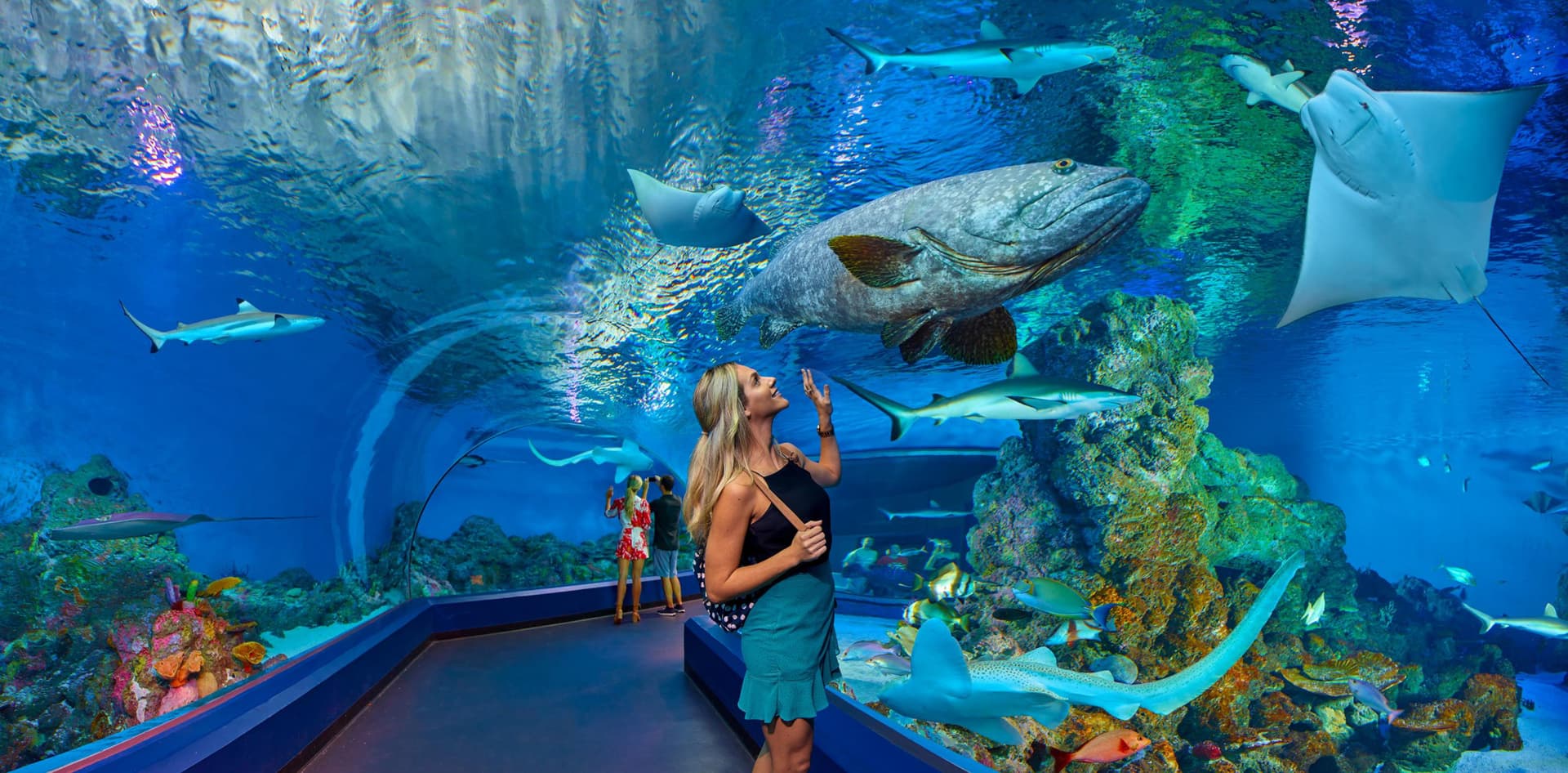 Cairns Aquarium Ticket - main image