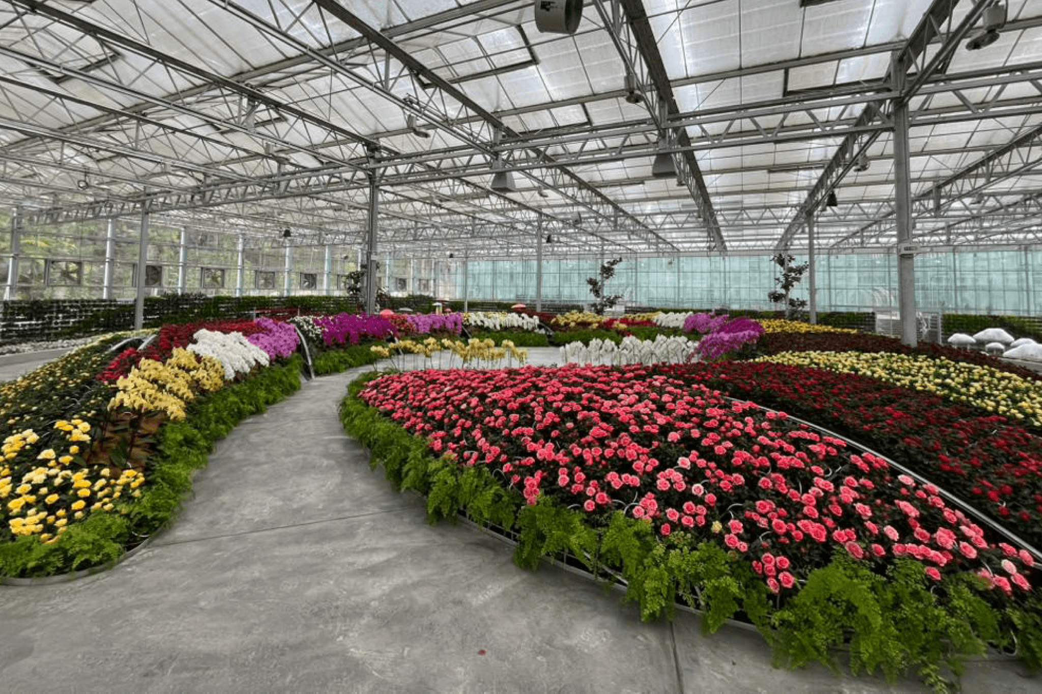 COMBO: Eufloria Gardens & Sculpture Park + Genting Skyway Tickets - main image
