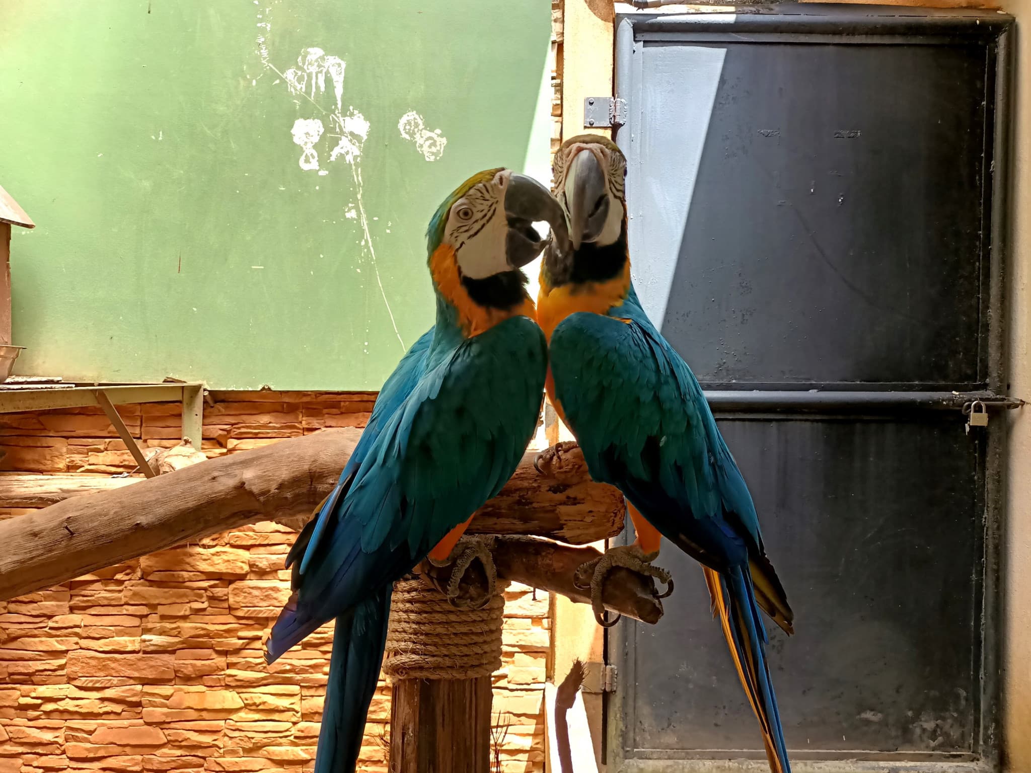 Langkawi Wildlife Park - image 5