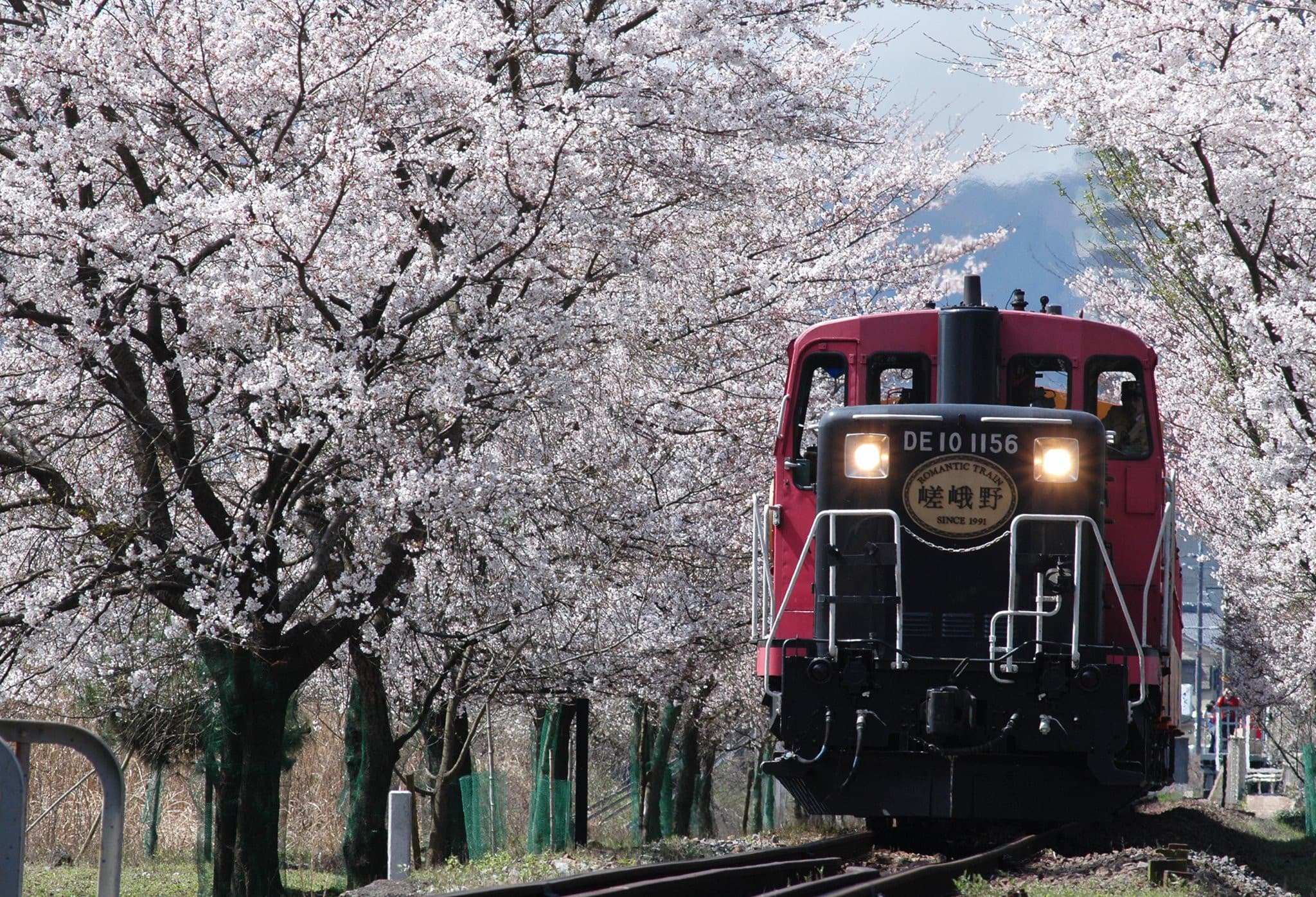 Sagano Romantic Train - image 14