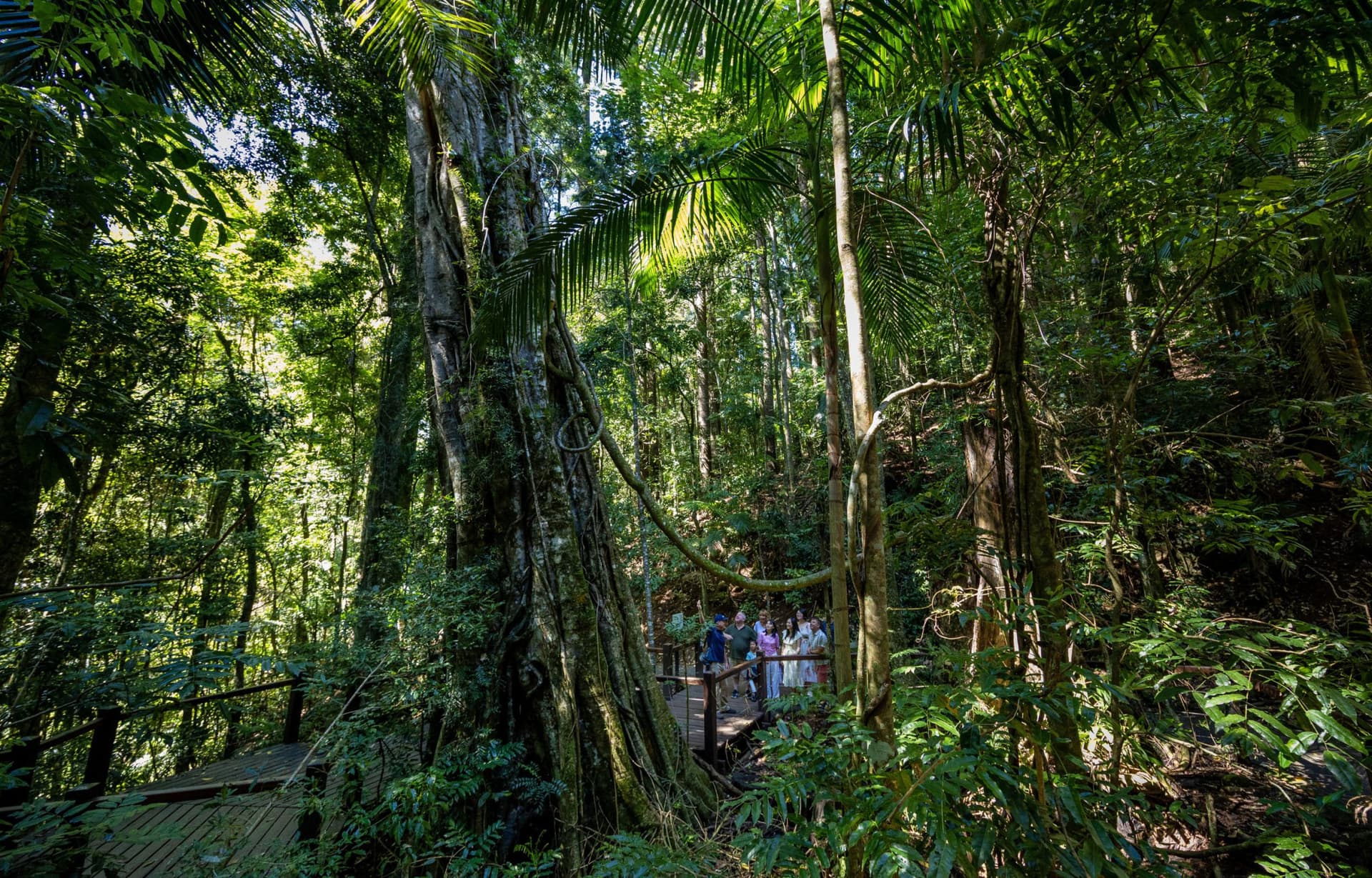 Gold Coast Full-Day Tour From Brisbane - image 8