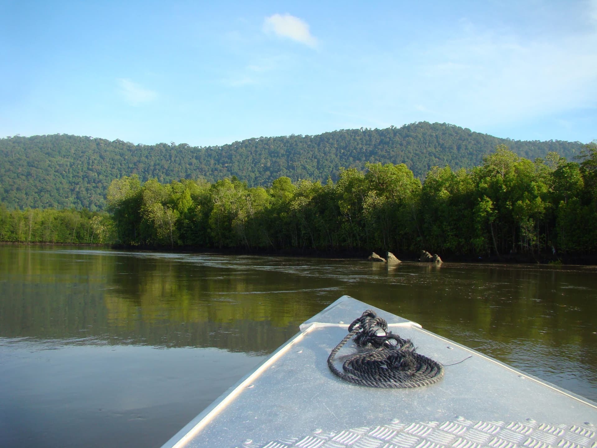 Langkawi Mangrove River Cruise and Snorkeling - main image