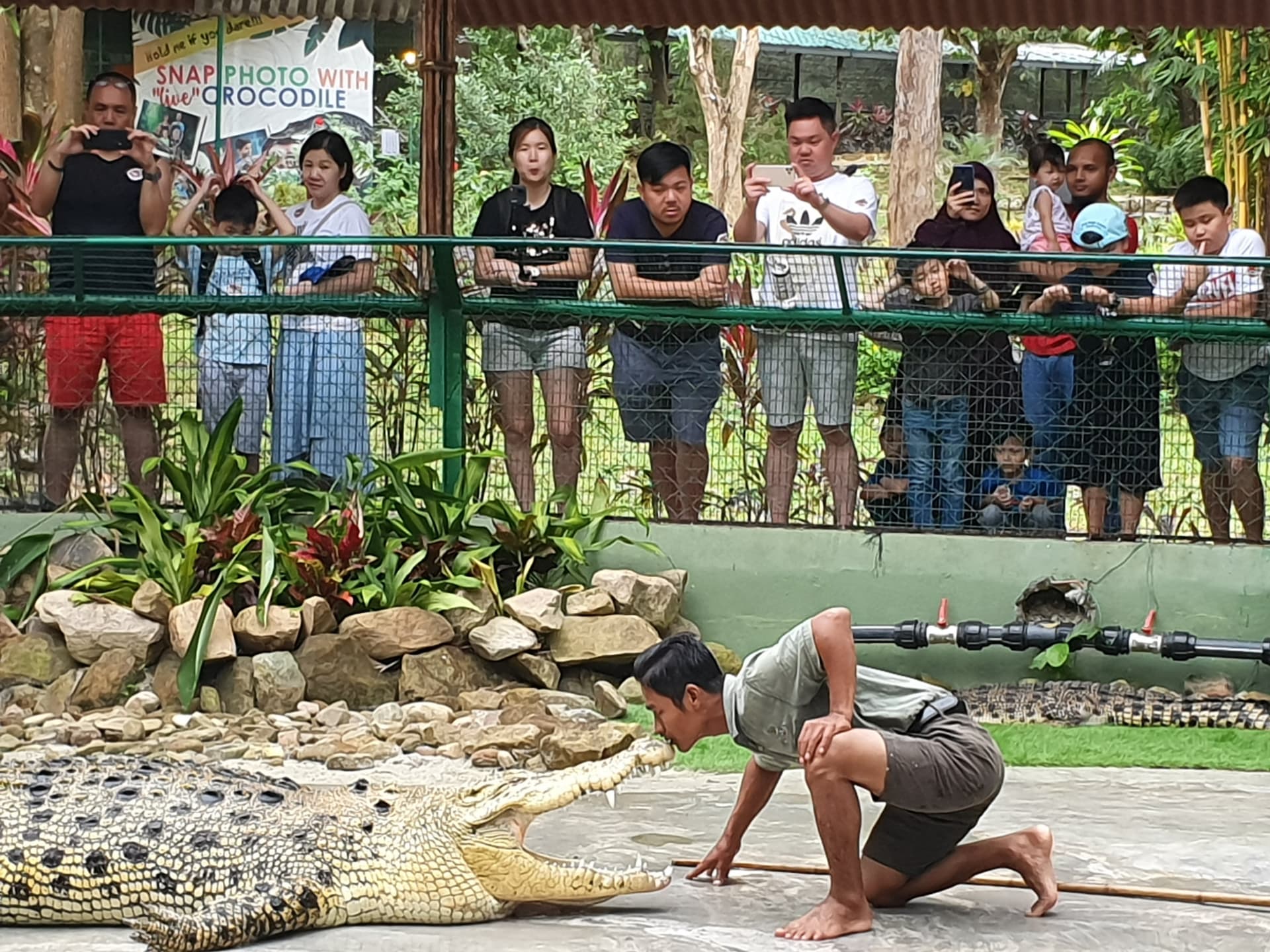 Crocodile Adventureland Langkawi - imagen 5