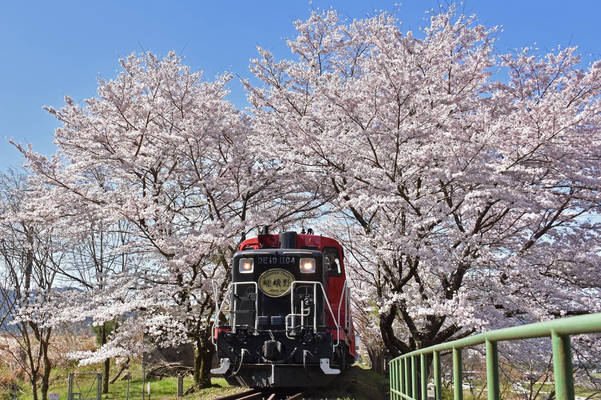 Sagano Romantic Train - image 15