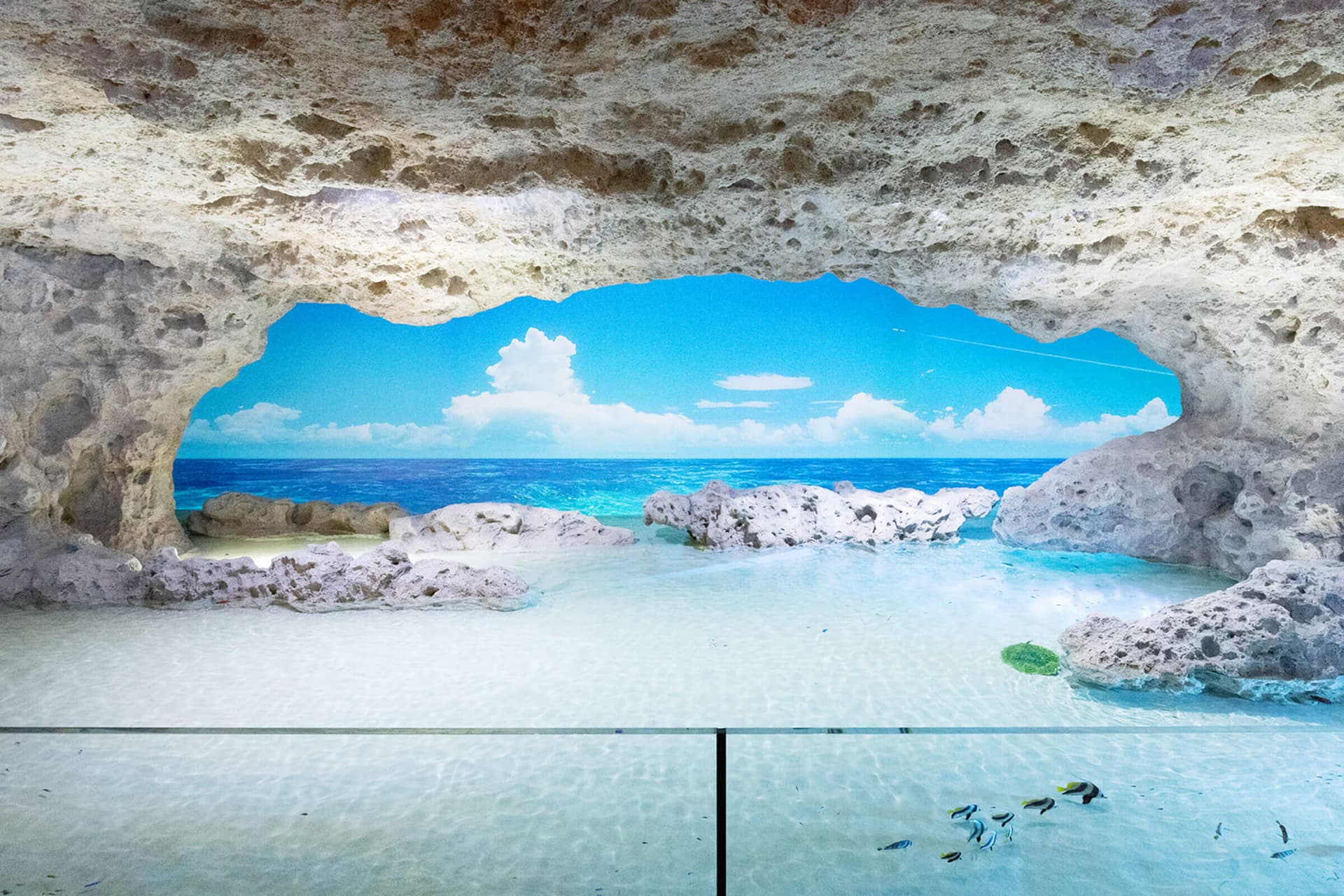 Okinawa DMM Kariyushi Aquarium - main image