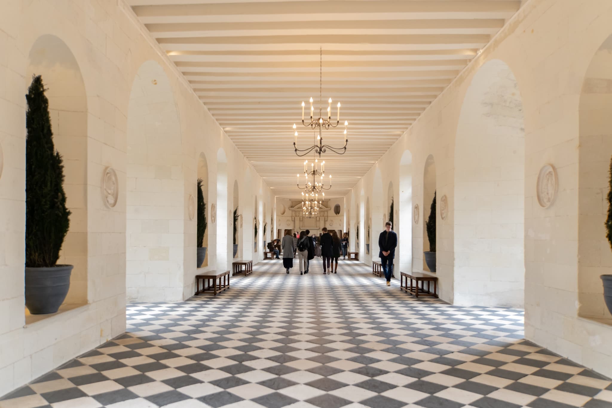 Loire Valley Tour from Paris: Chambord, Chenonceau, and Cheverny Castles - image 17