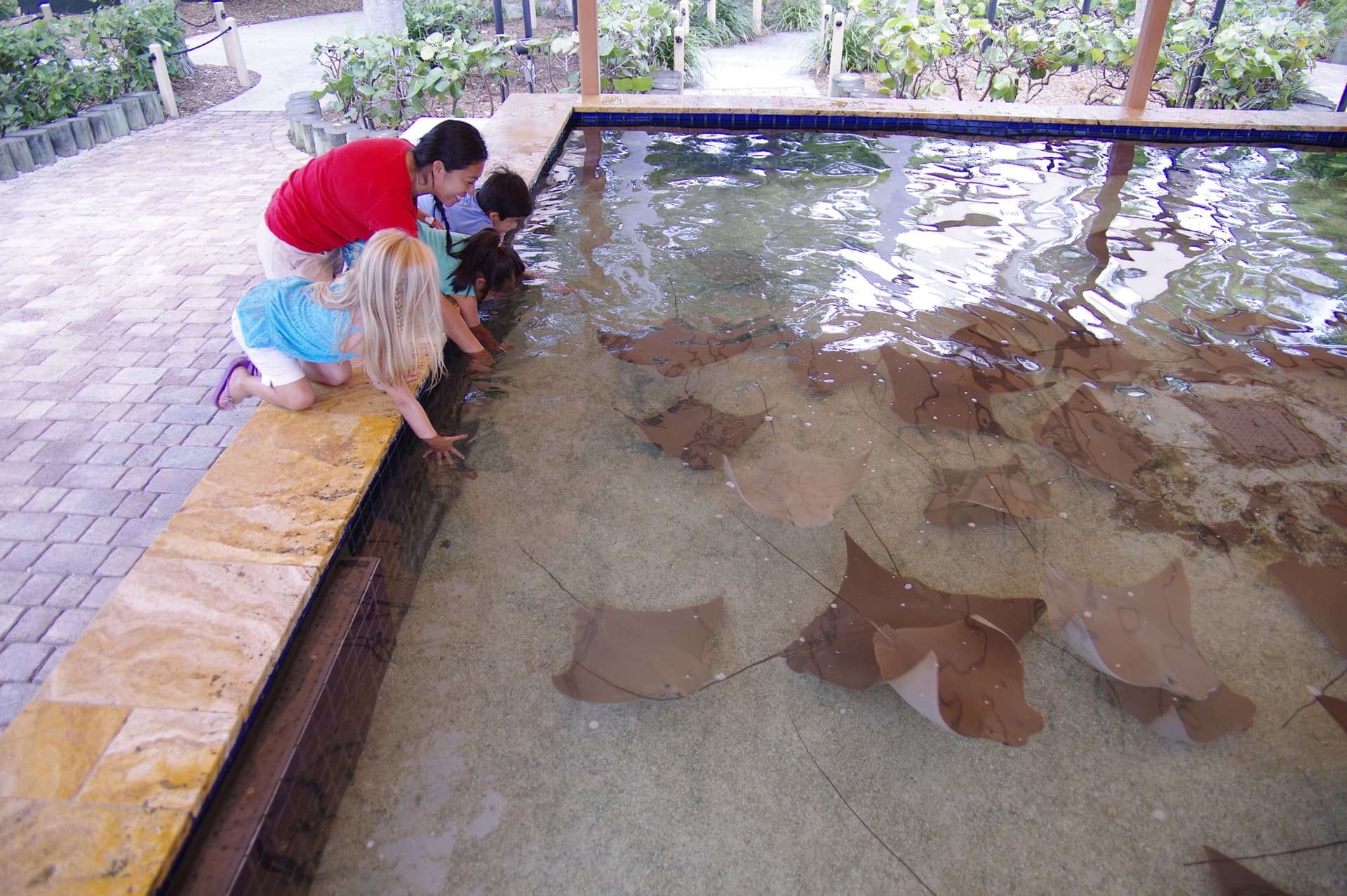 Go City Miami All-Inclusive Pass: Save up to 50% on Attractions - image 26