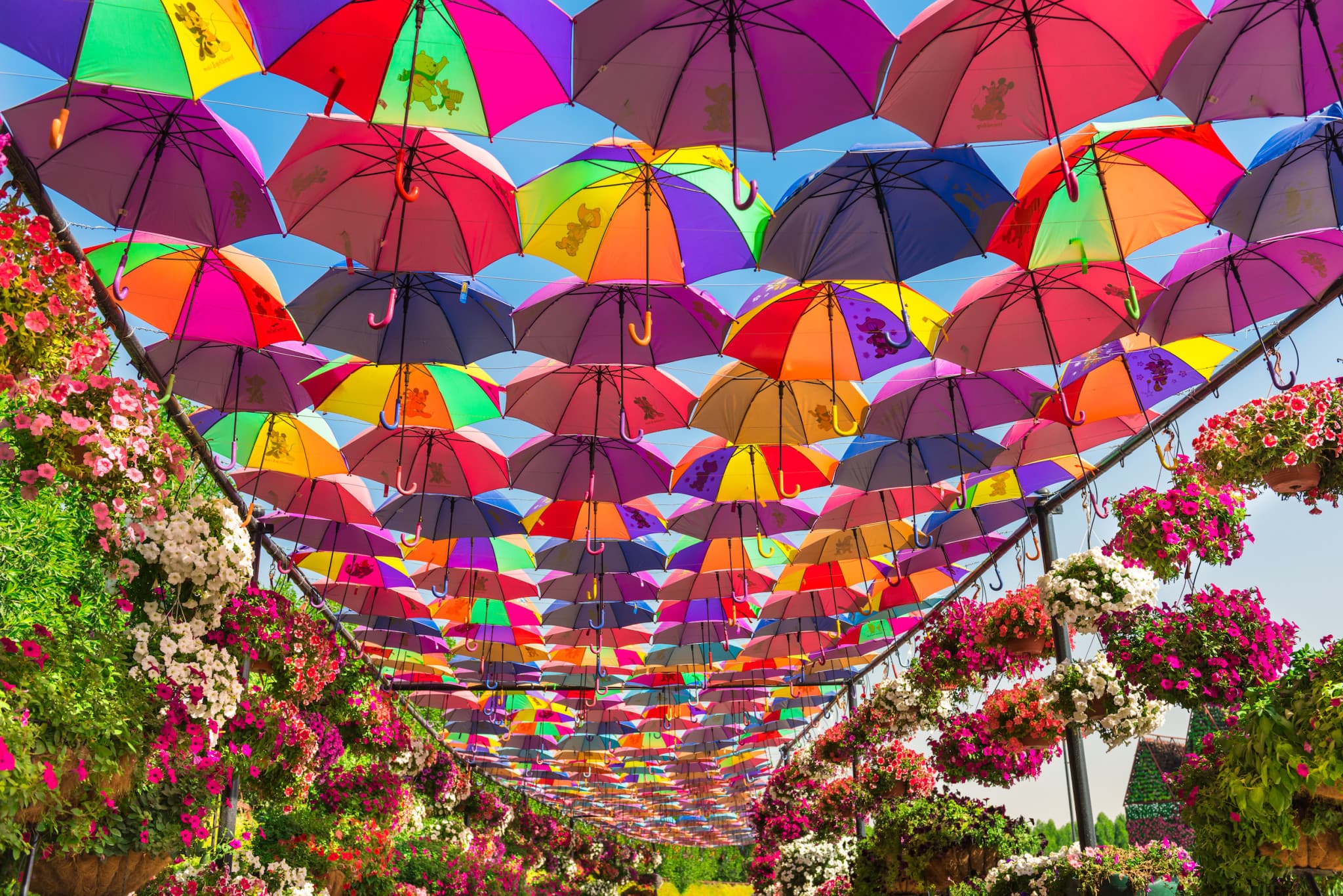 Dubai Miracle Garden Ticket - image 2