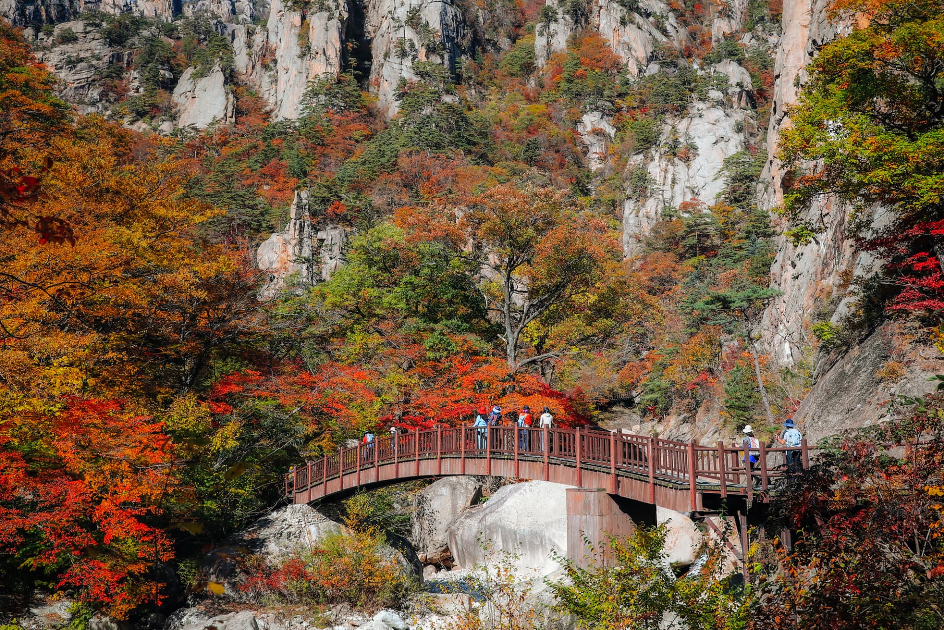 Mt. Seorak National Park Autumn Foliage One Day Tour from Seoul - image 3