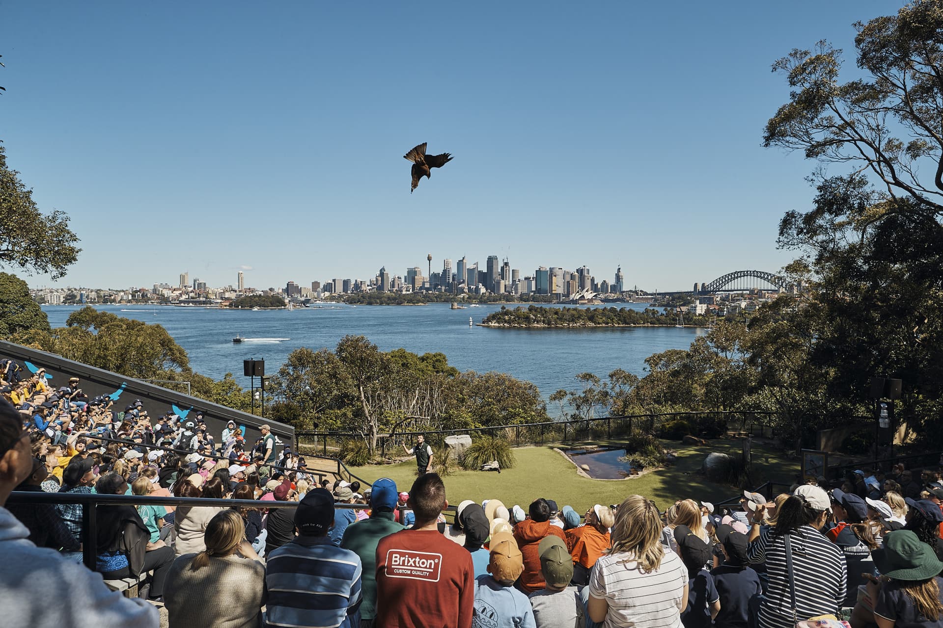 Go City Sydney Explorer Pass: Ahorre hasta un 50% en atracciones - imagen 13