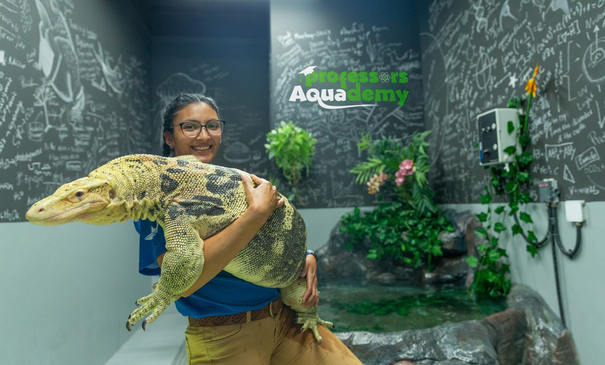 The National Aquarium Abu Dhabi Ticket - image 14
