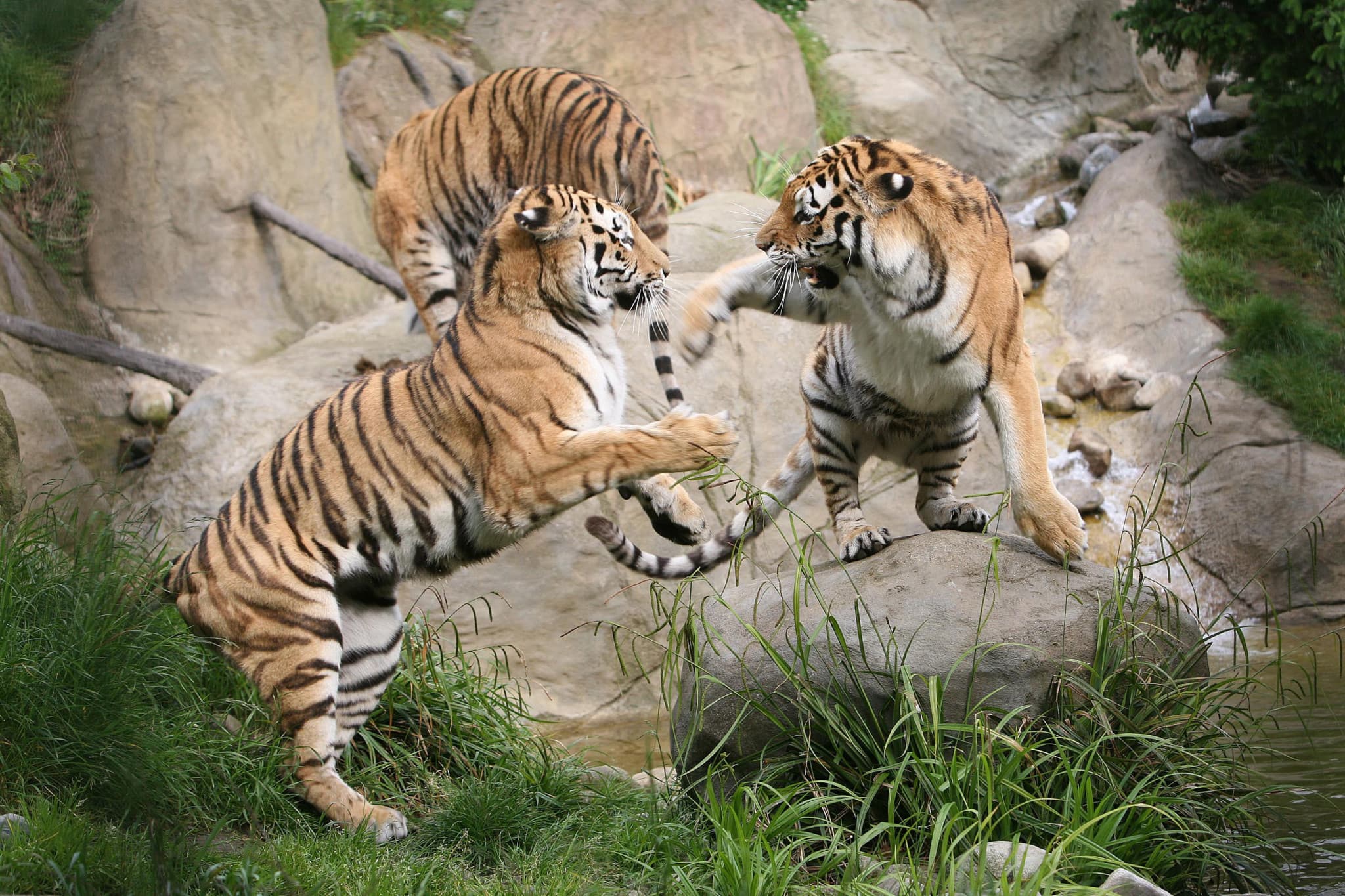 Go City Dublin Explorer Pass: Save up to 50% on Attractions - image 39