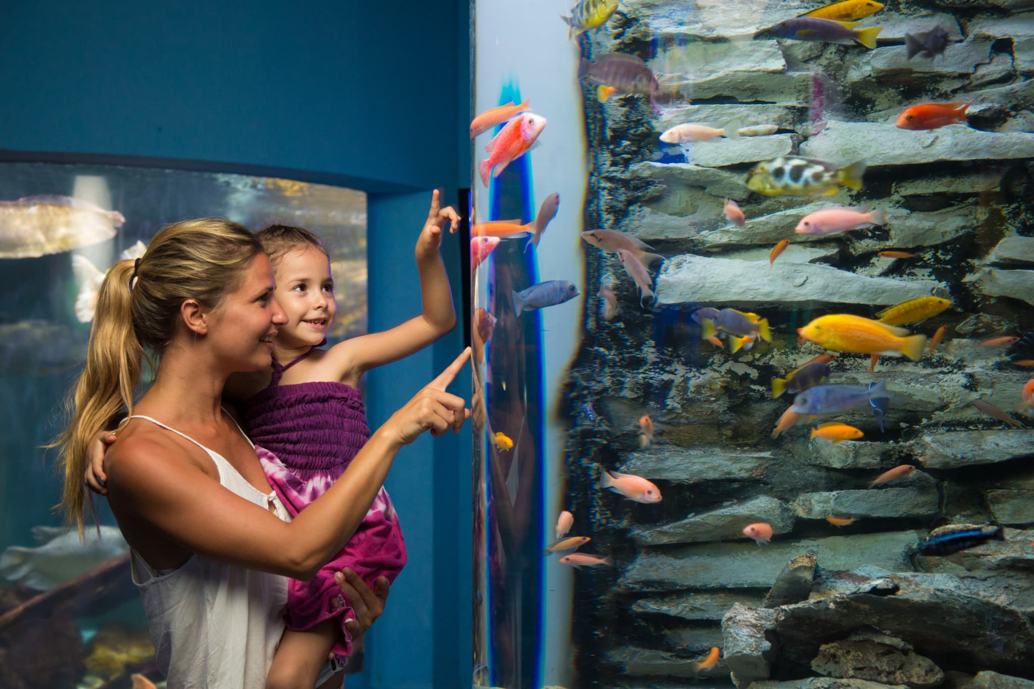Go City Cancun All-Inclusive Pass: Save up to 50% on Attractions - image 4