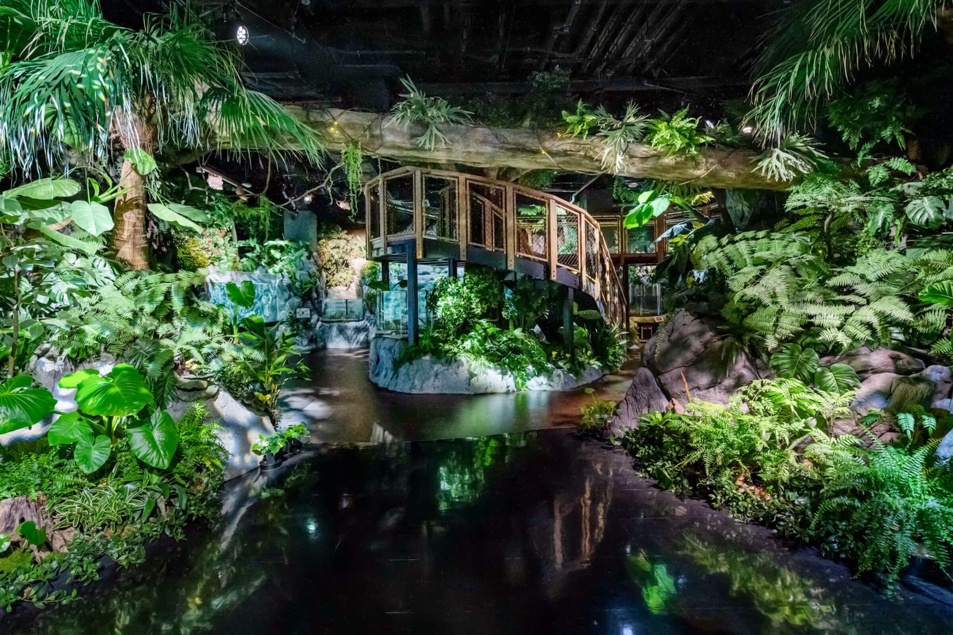 Okinawa DMM Kariyushi Aquarium - image 4