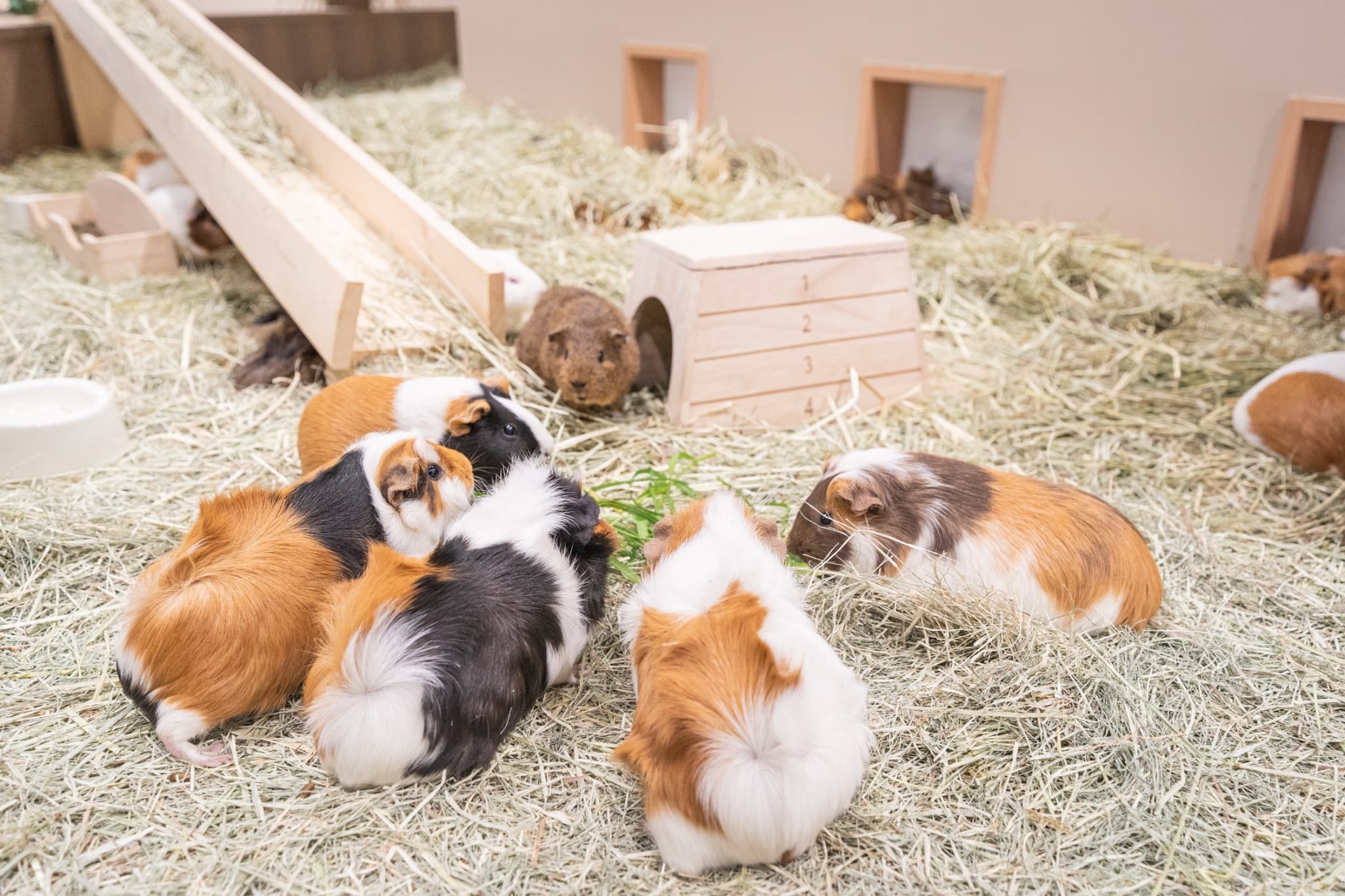 Kawasaki Aquarium Ticket - image 7