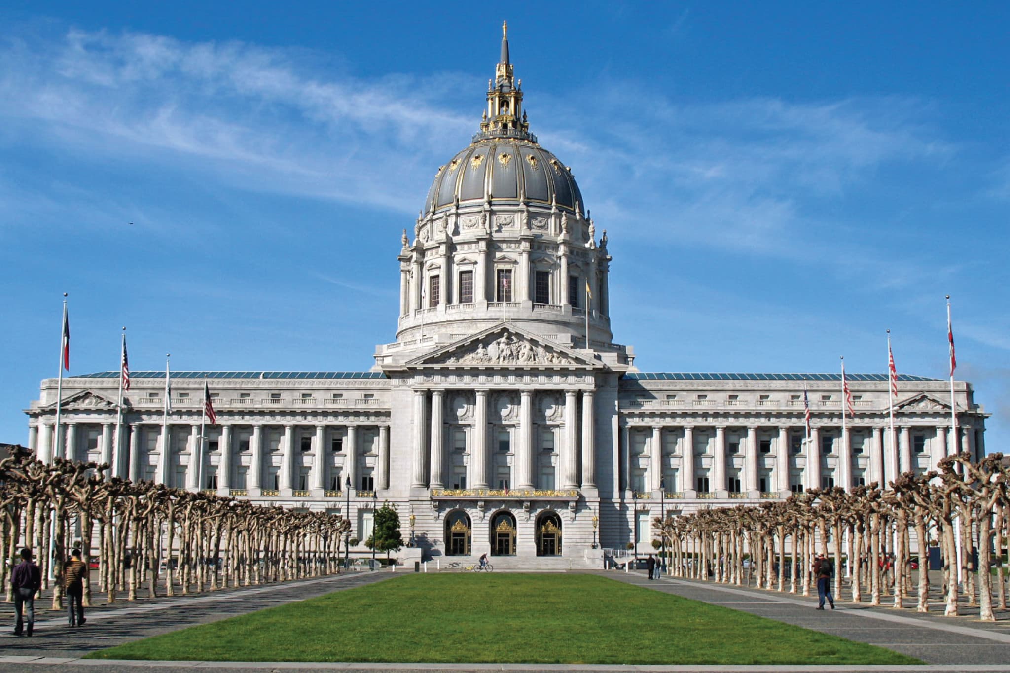 San Francisco Hop-On Hop-Off City Bus Tours by Skyline Sightseeing - image 4