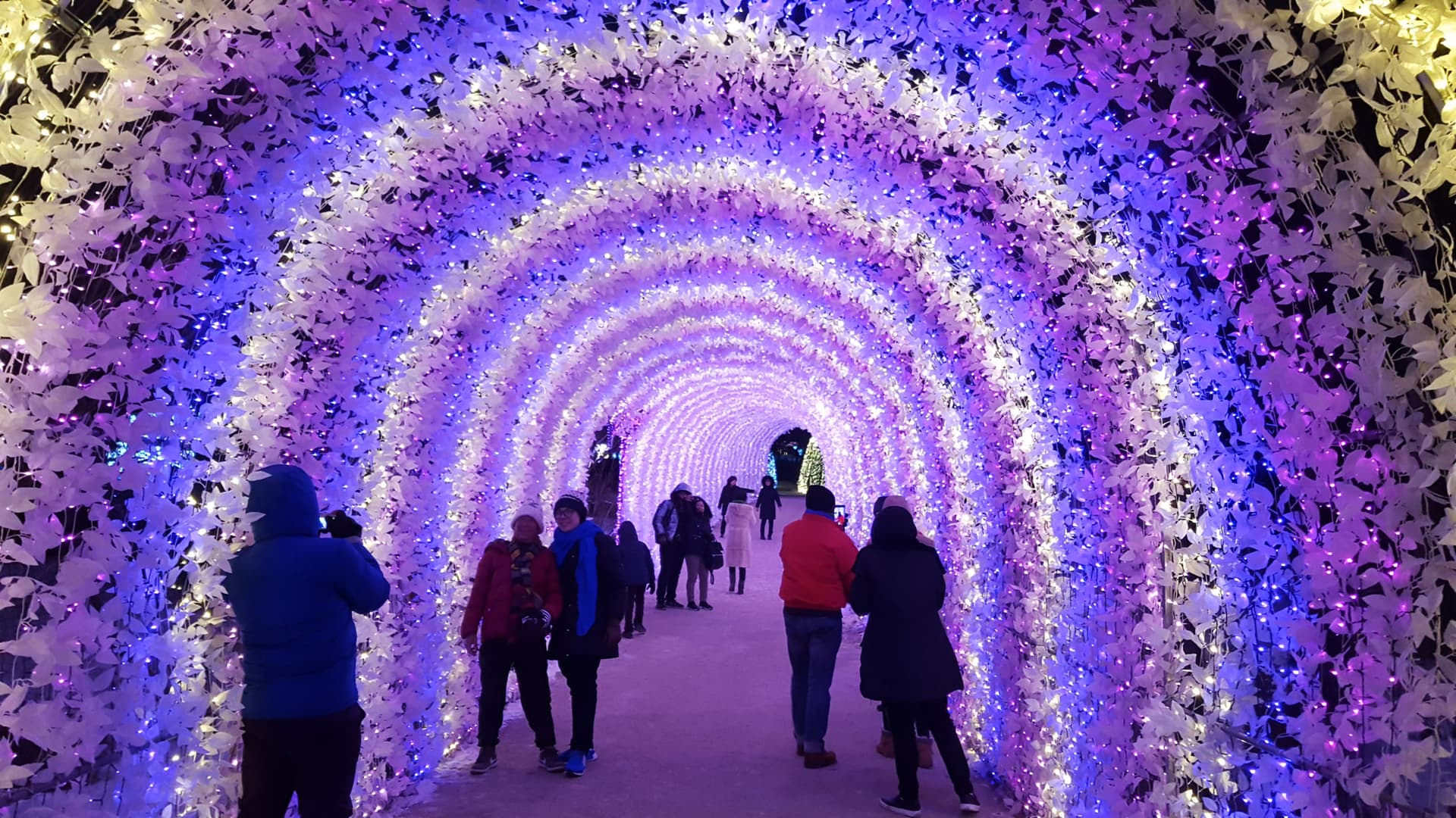 Nami Island, Mount Seorak, and Garden of Morning Calm Full-Day Tour from Seoul - 이미지 12