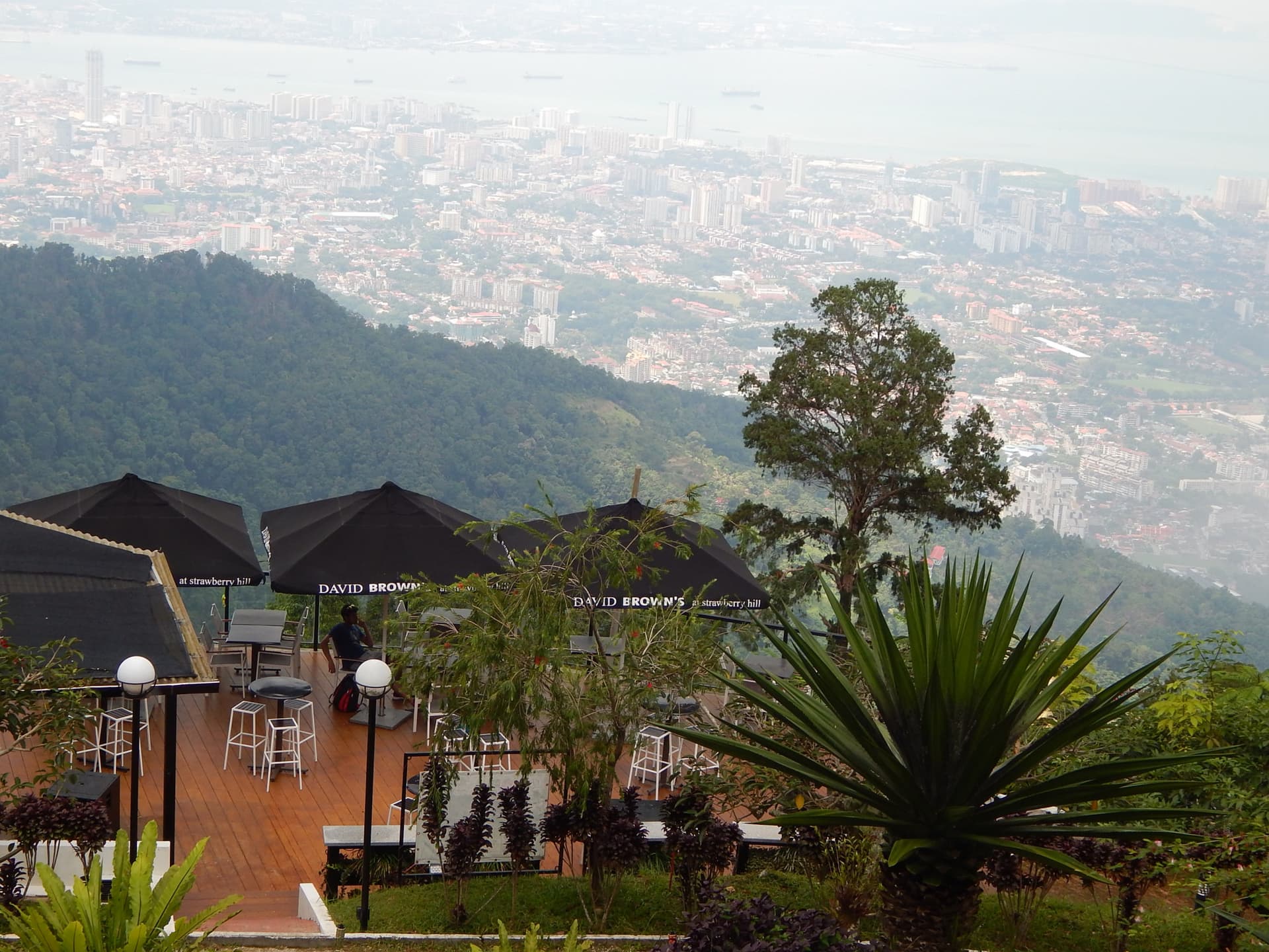 Penang Grand Island Full-Day Tour - image 3