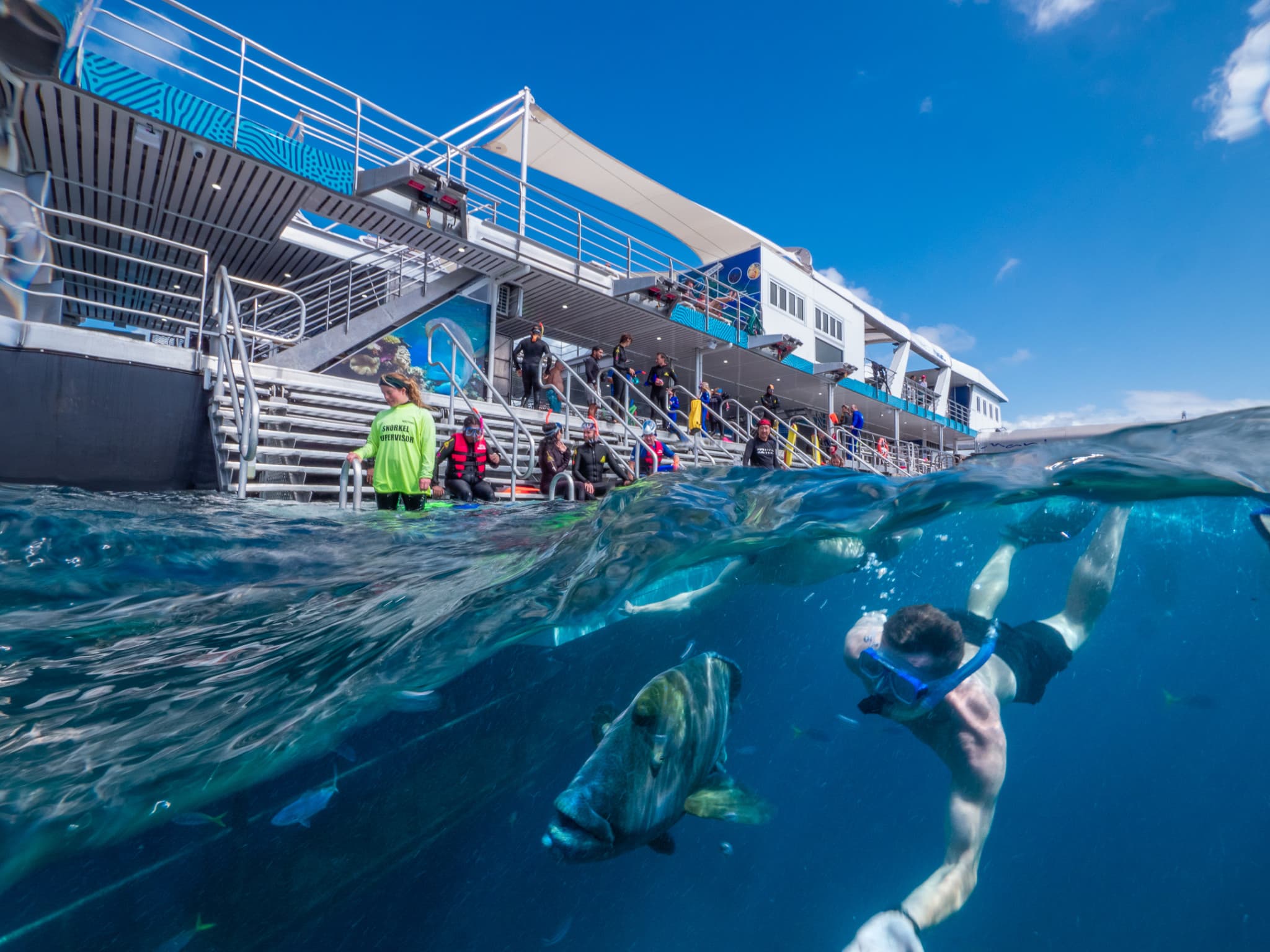 Reef Magic Pontoon Tour from Cairns - main image
