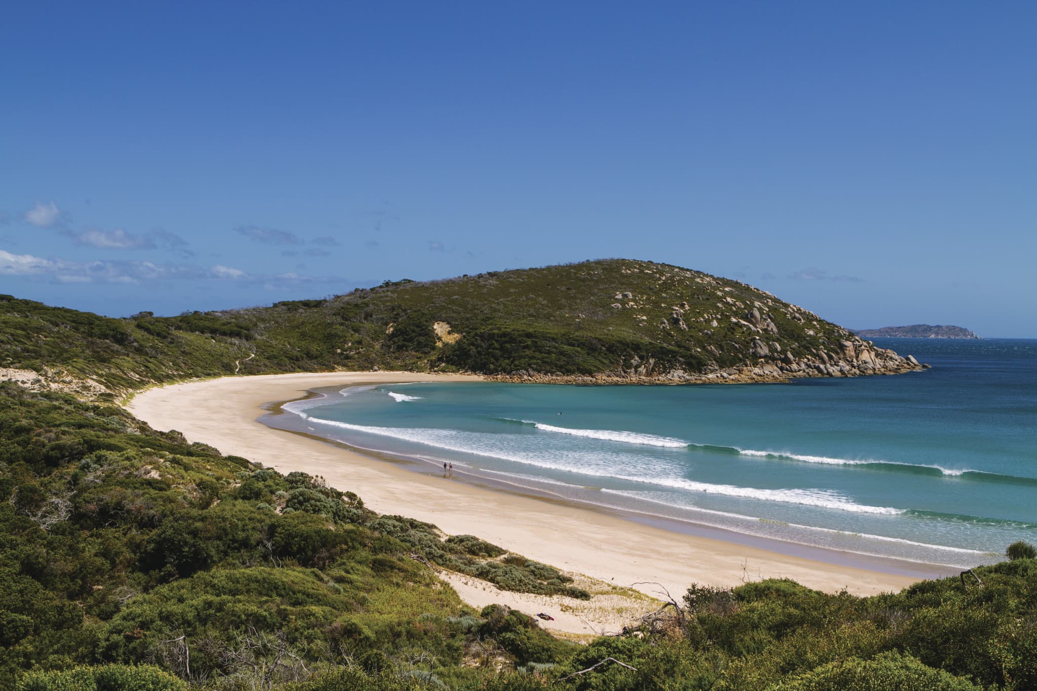 Wilsons Promontory National Park Tour from Melbourne - image 5
