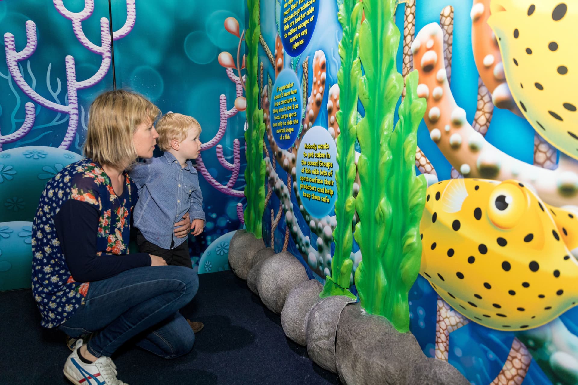 Entrada al acuario SEA LIFE Kelly Tarlton's - imagen 14