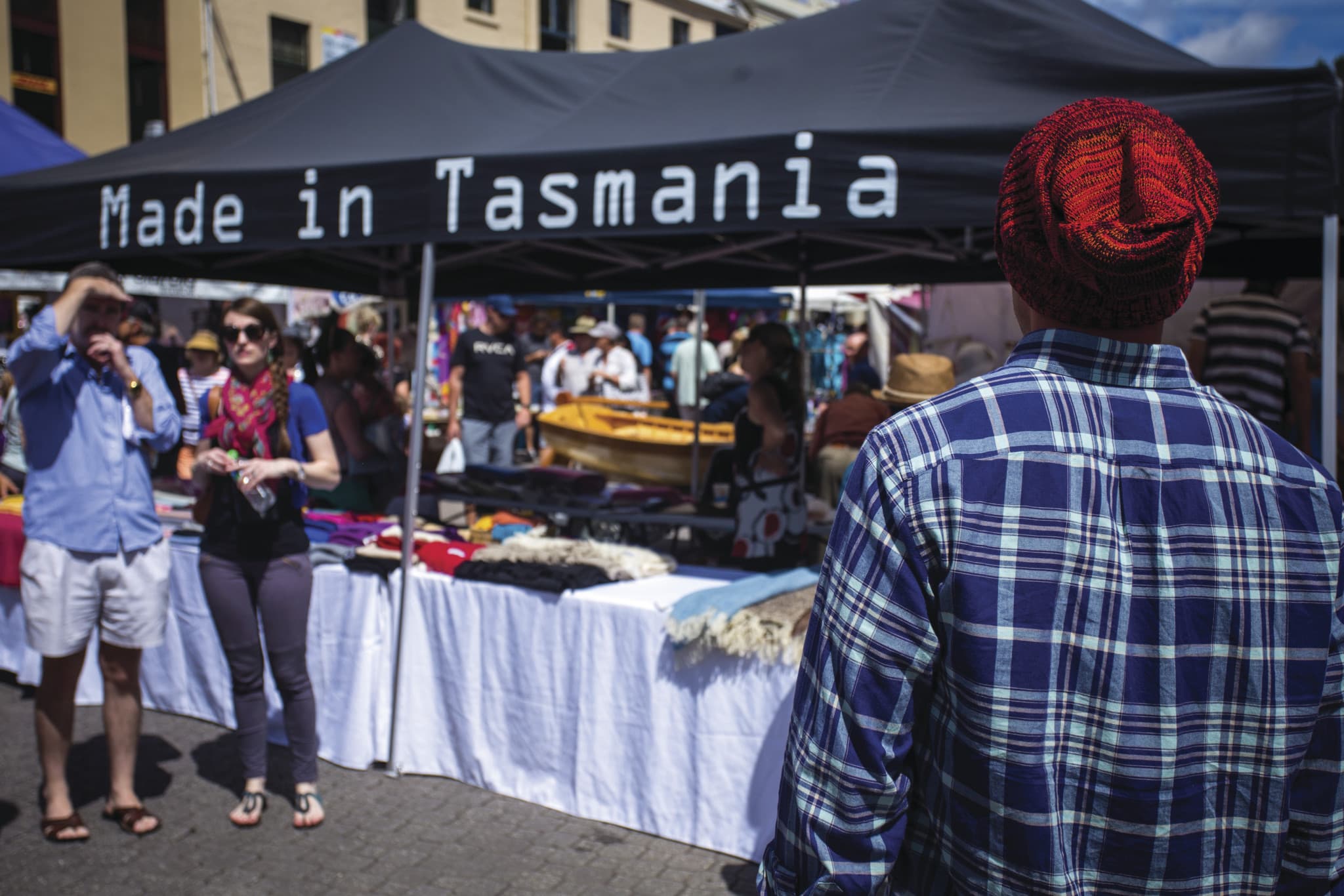 Bonorong Wildlife Sanctuary and Hobart City Tour - image 12