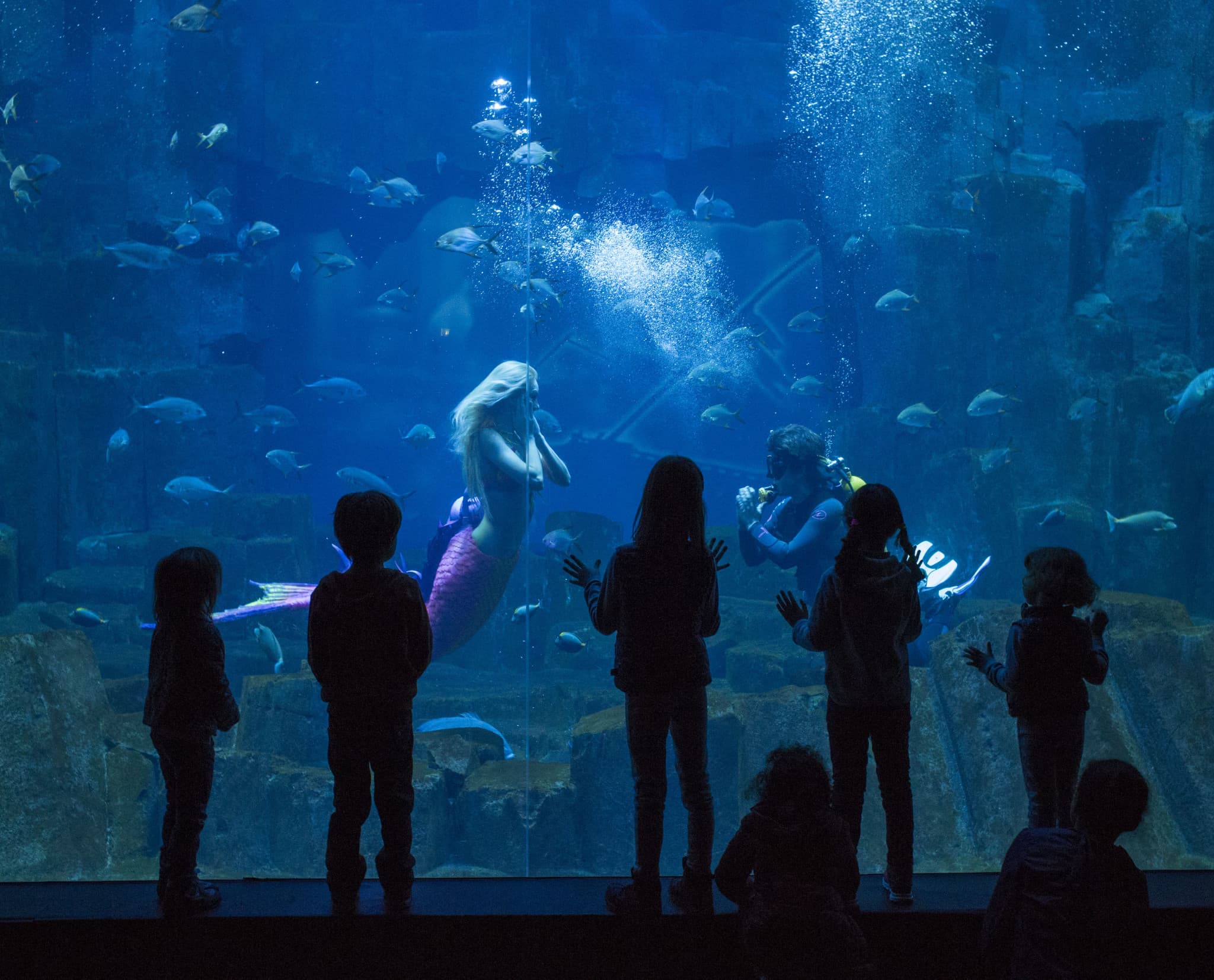 The Paris Pass Plus: Save up to 50% on Attractions - image 26