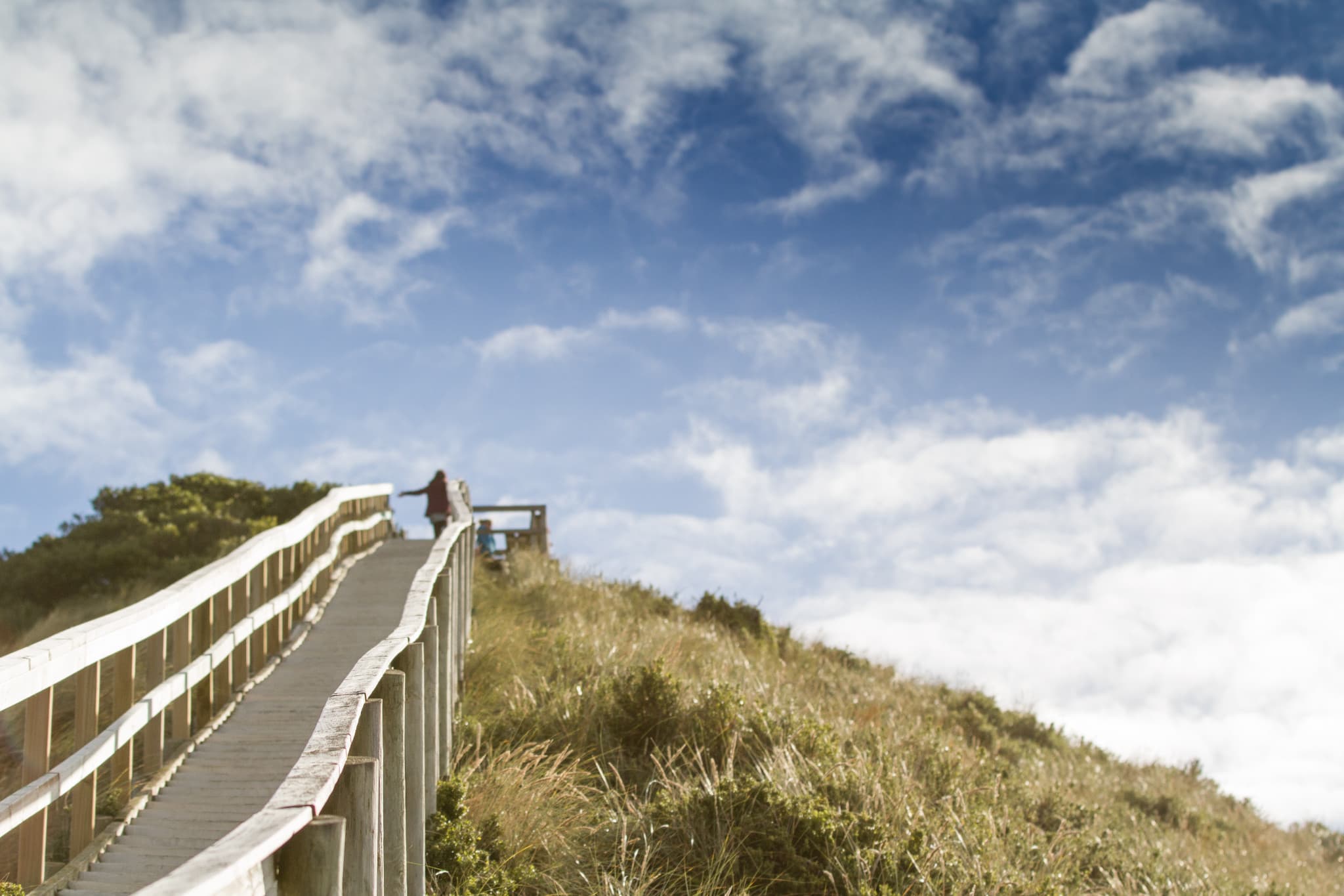 From Hobart | Bruny Island Food, Sightseeing and Lighthouse Tour - image 6