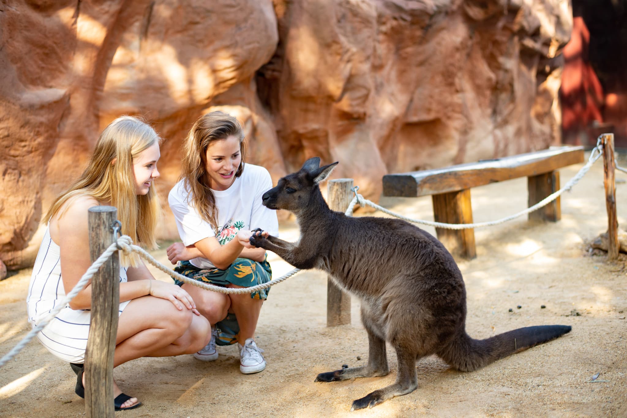 WILD LIFE Sydney Zoo Direct Entry Ticket - main image