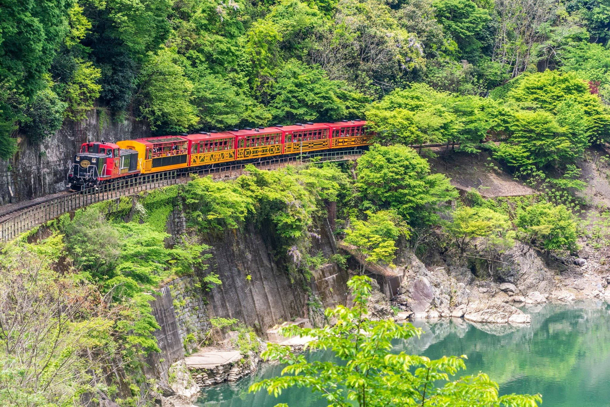 Sagano Romantic Train - image 19