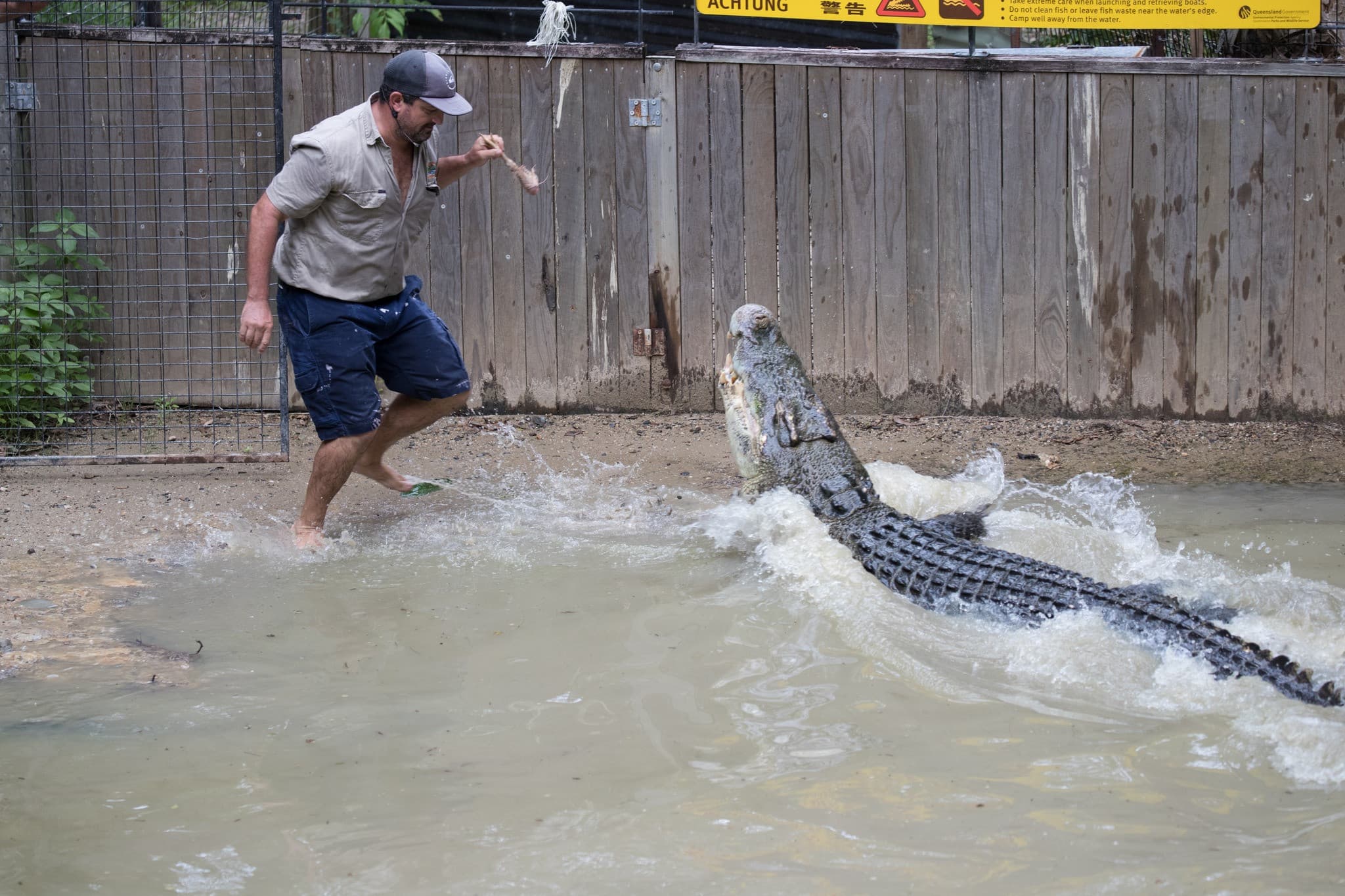 Hartley's Crocodile Adventures - image 2