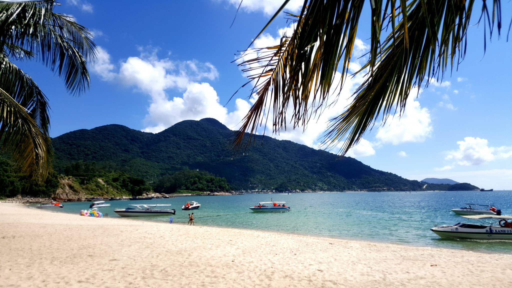 Cham Island Tour from Da Nang - main image