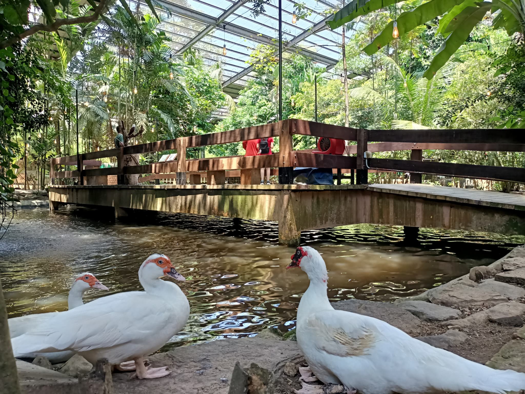Langkawi Wildlife Park - image 14
