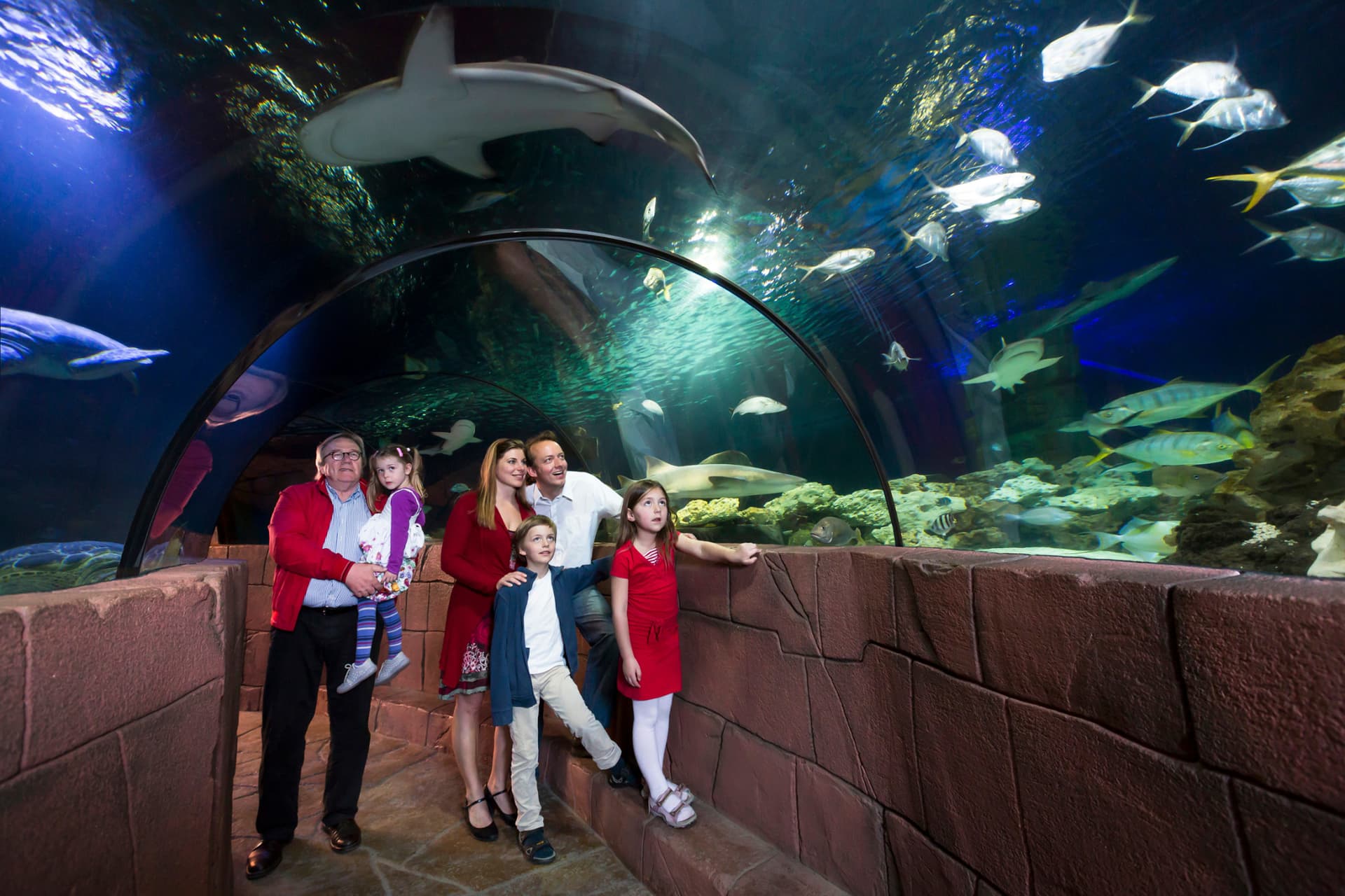SEA LIFE Hannover Aquarium Ticket - main image
