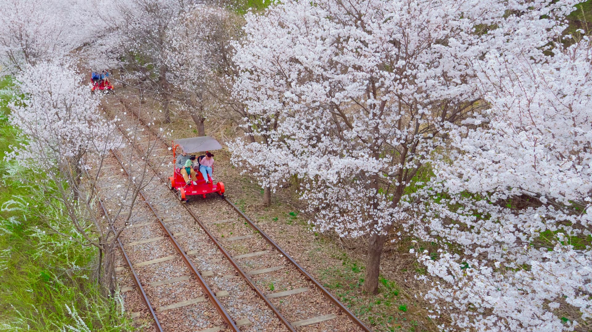 Nami Island, Mount Seorak, and Garden of Morning Calm Full-Day Tour from Seoul - 이미지 24